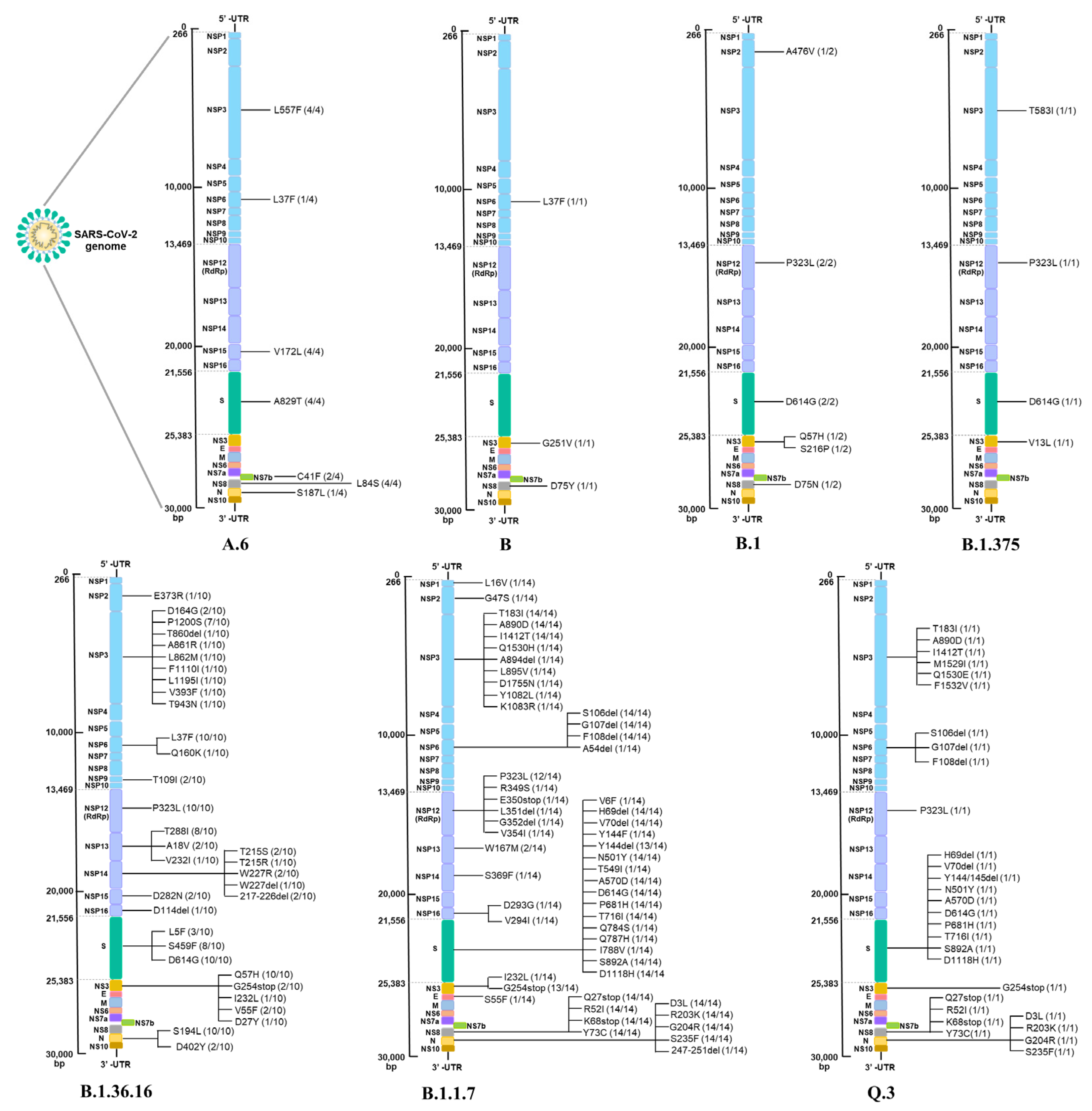 Pathogens 12 00626 g004