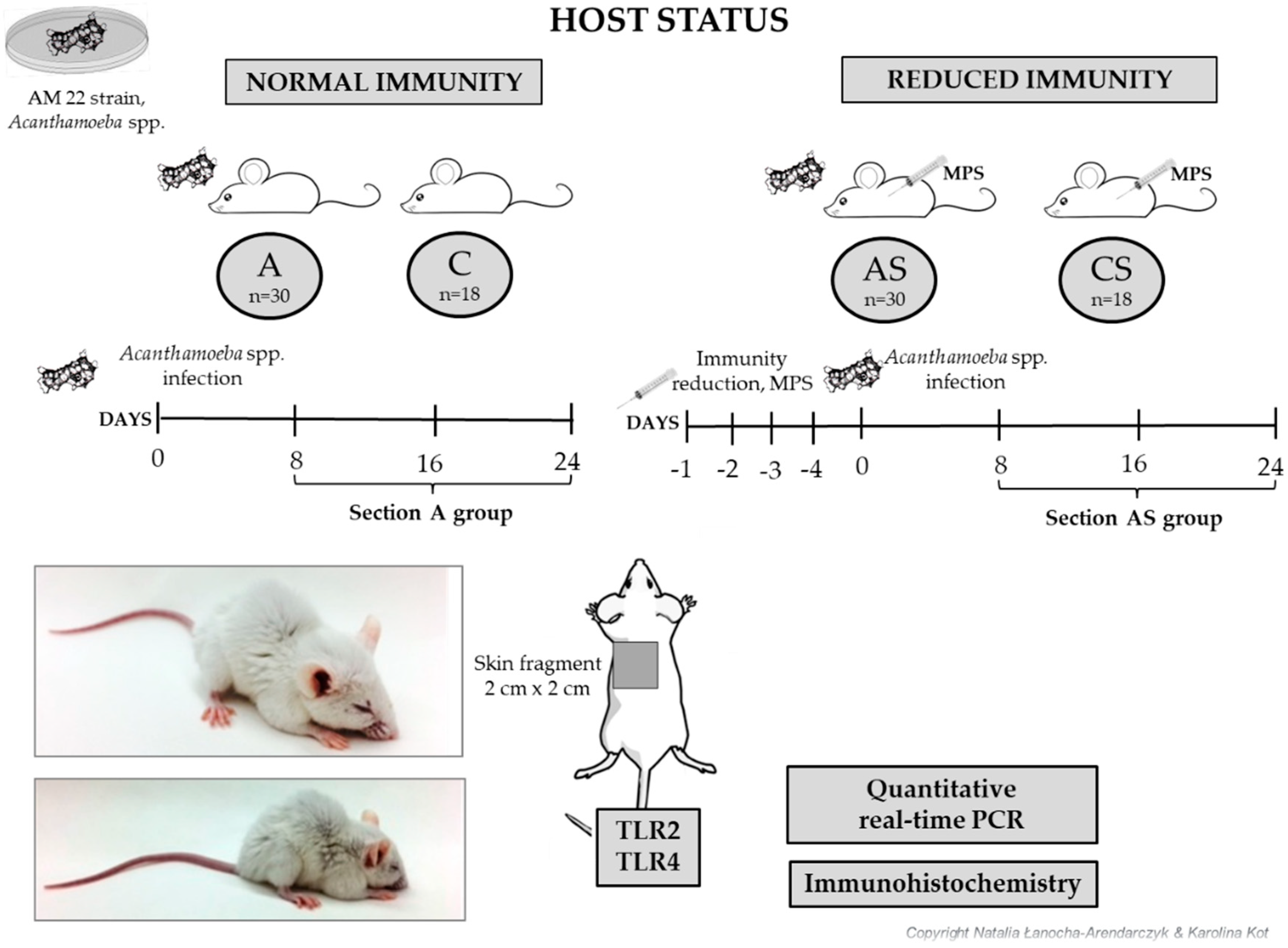 Pathogens 12 00631 g001 Pathogens 12 00631 g001