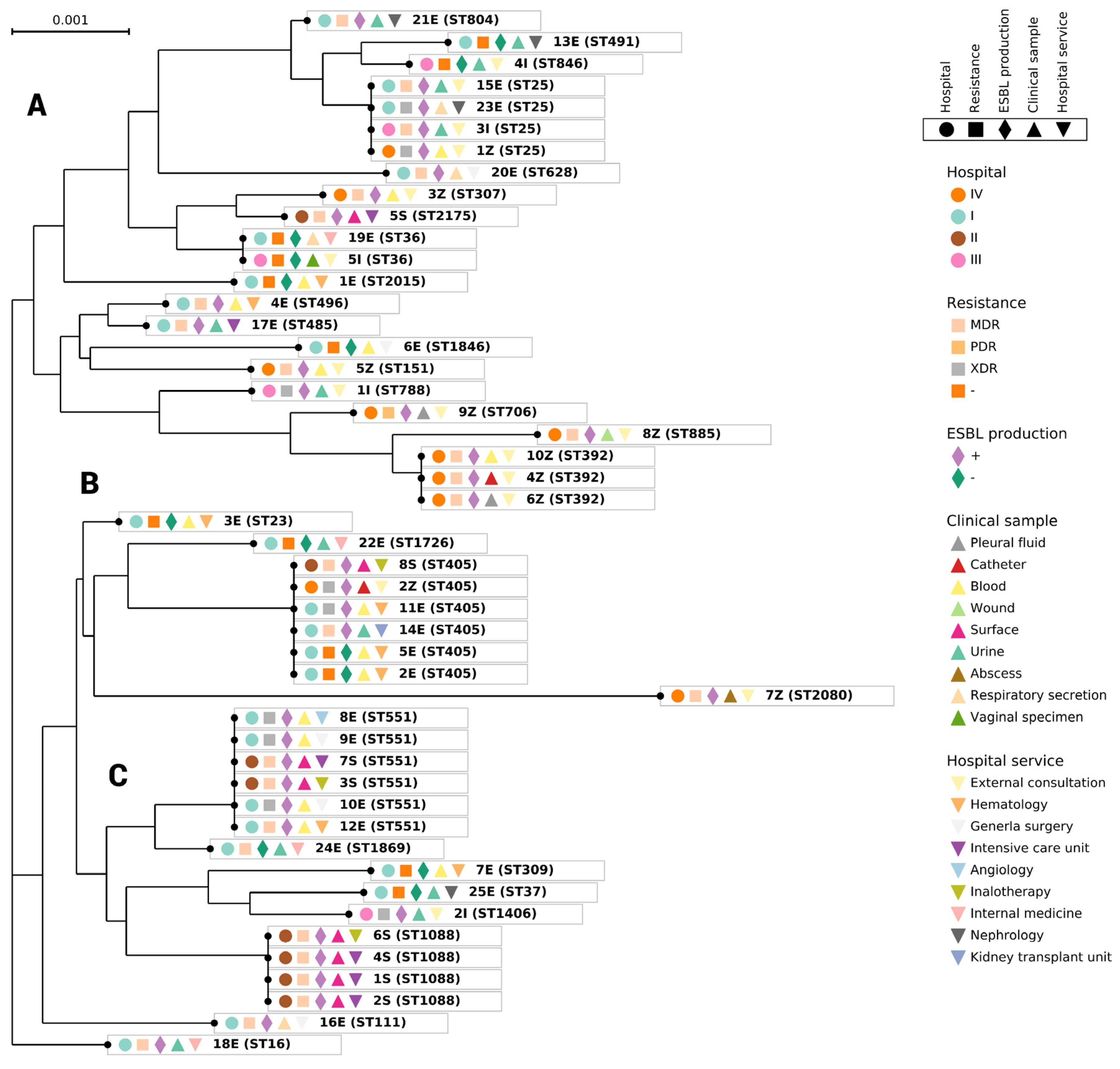 Pathogens 12 00634 g004 Pathogens 12 00634 g004