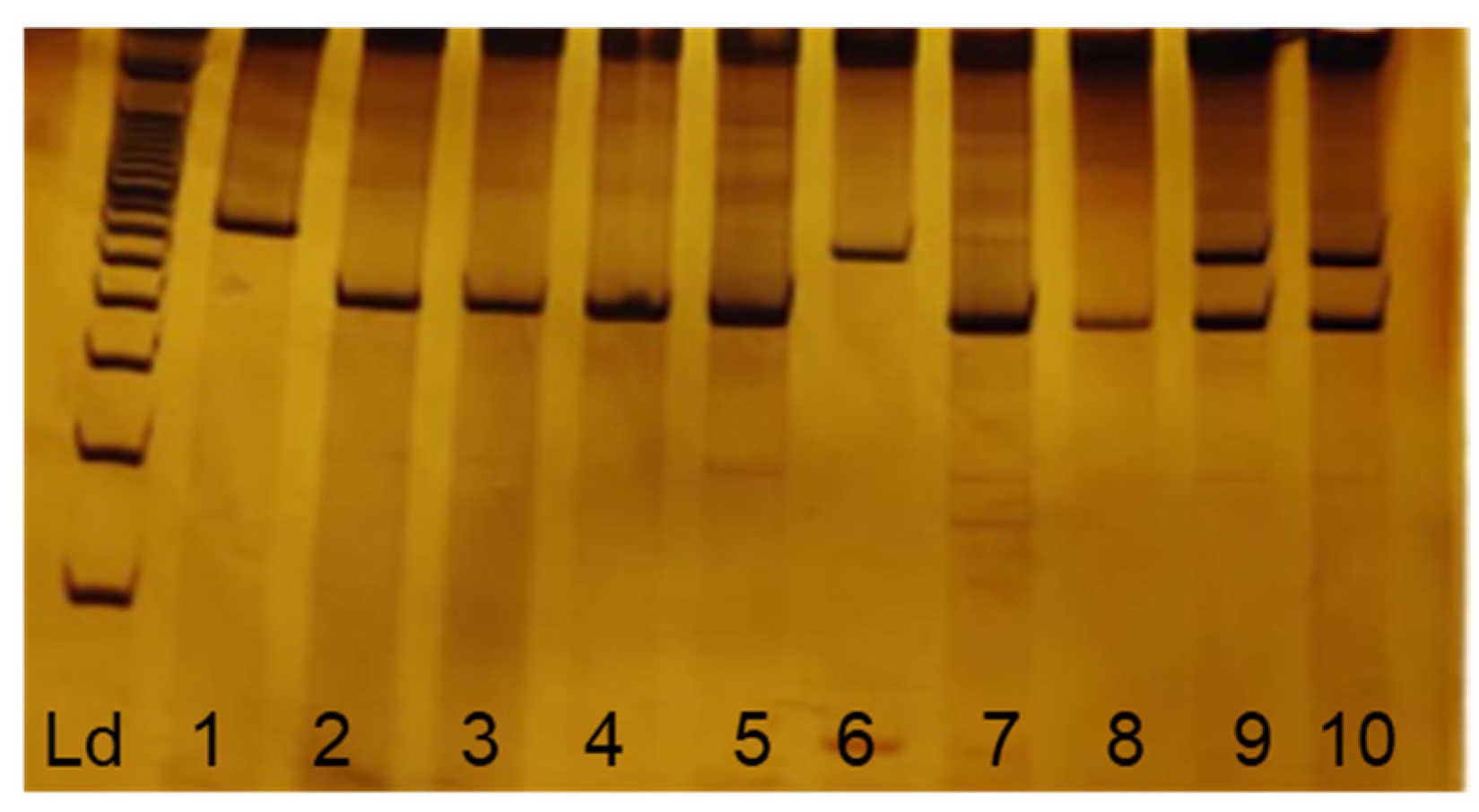 Pathogens 12 00636 g001