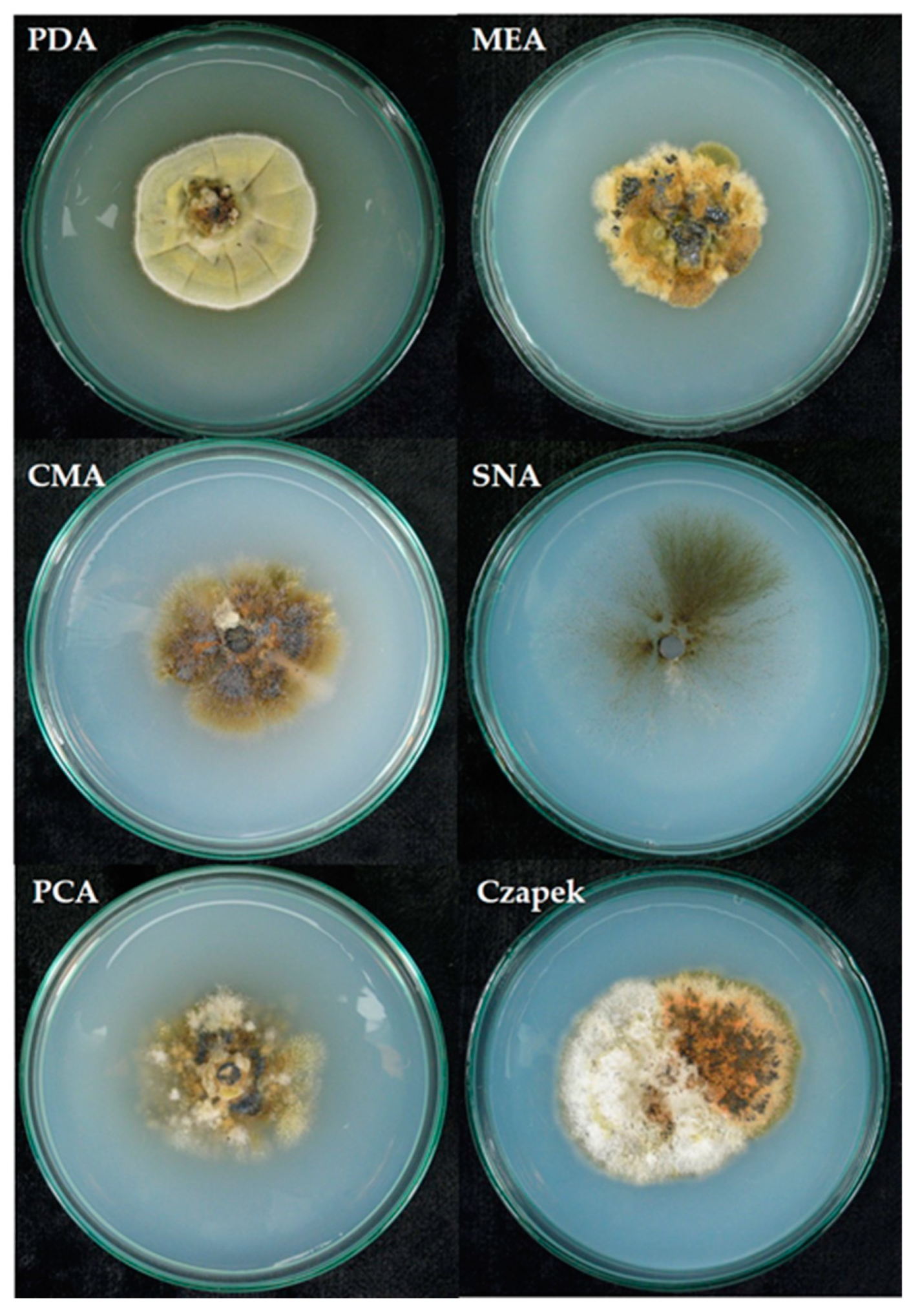 Pathogens 12 00642 g004 Pathogens 12 00642 g004