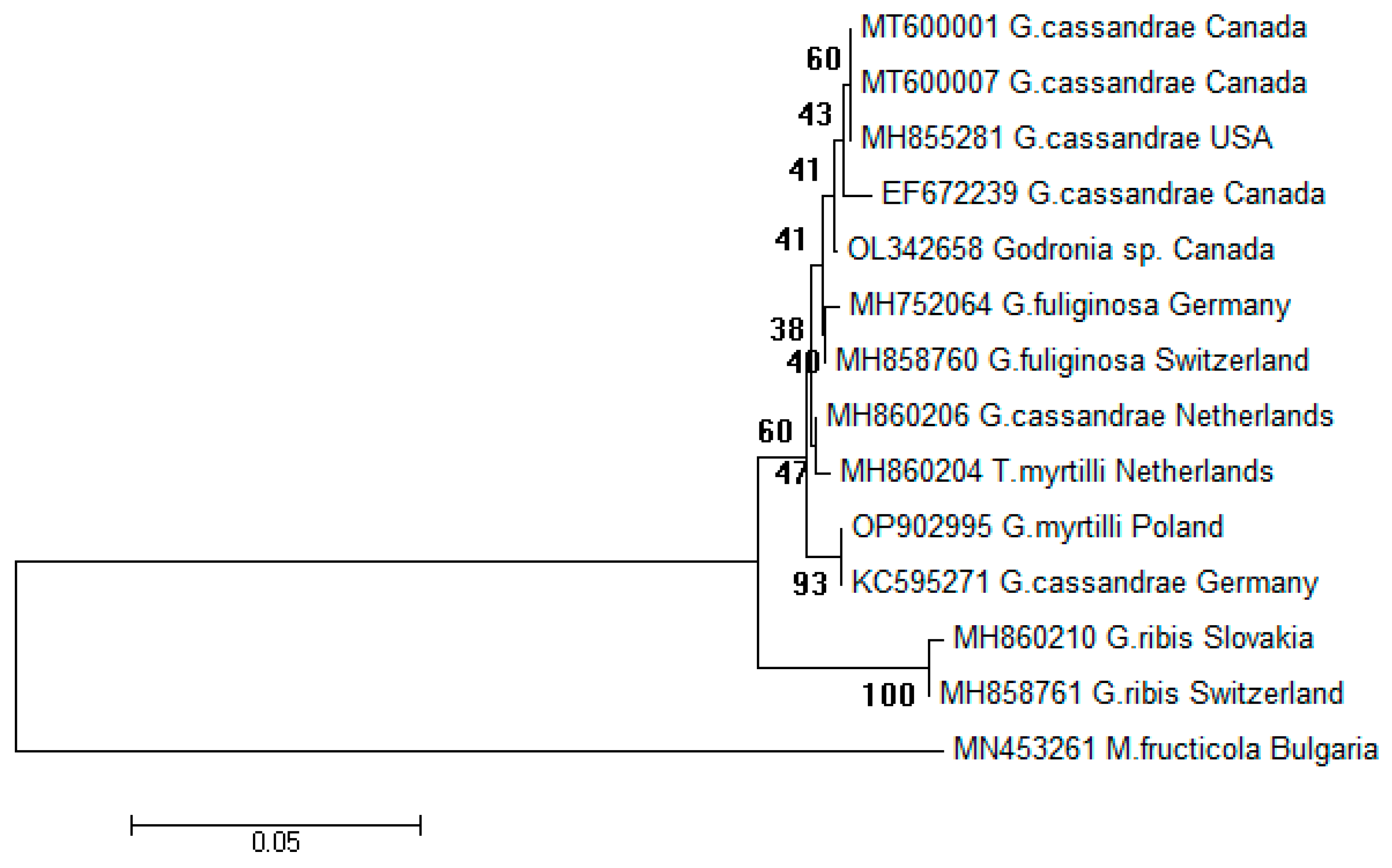 Pathogens 12 00642 g005 Pathogens 12 00642 g005
