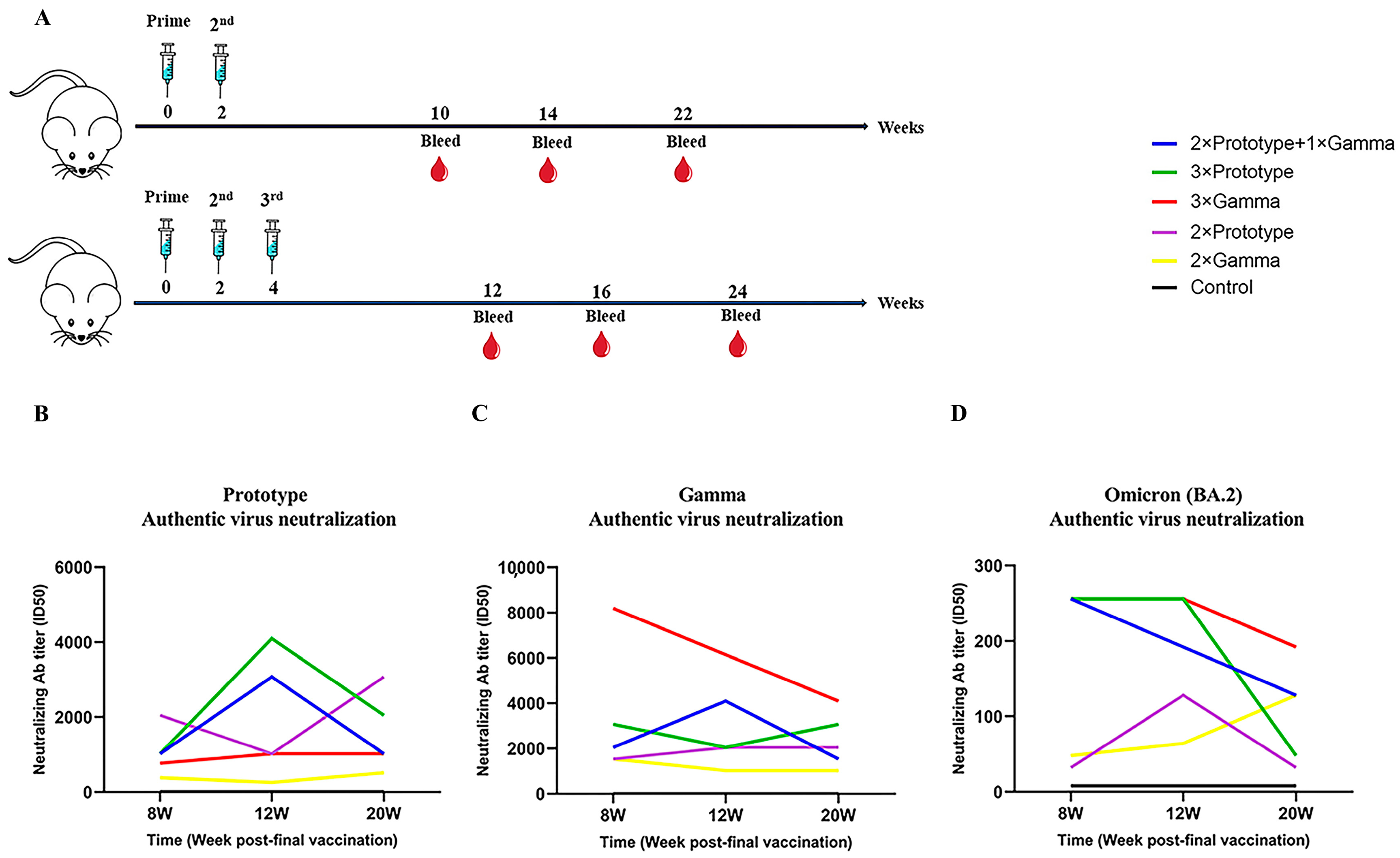 Pathogens 12 00655 g002