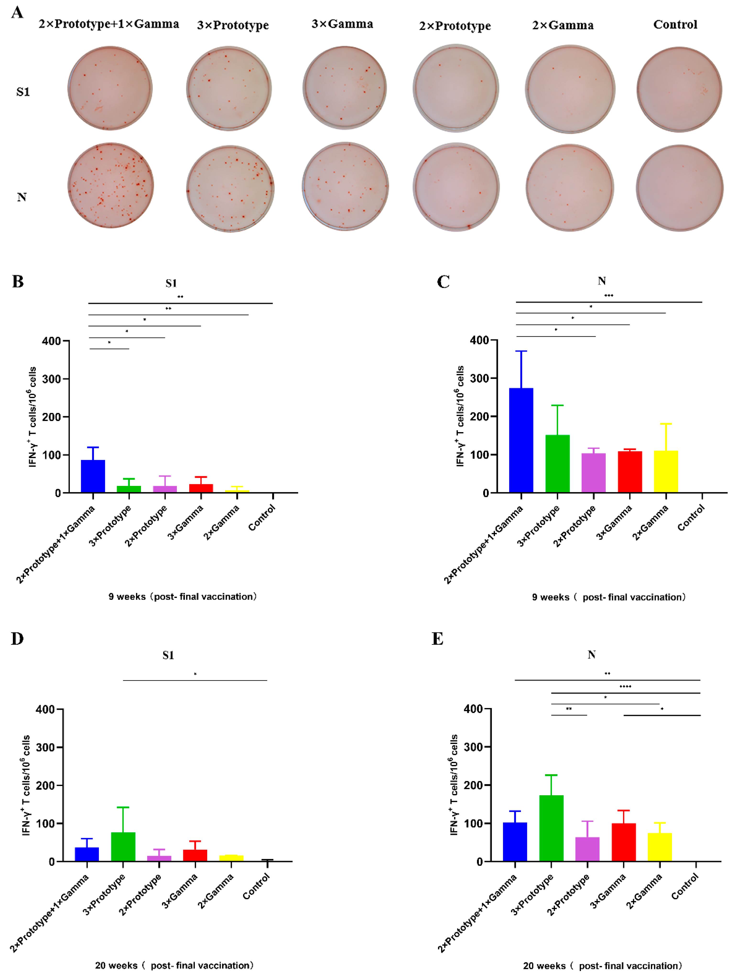 Pathogens 12 00655 g004