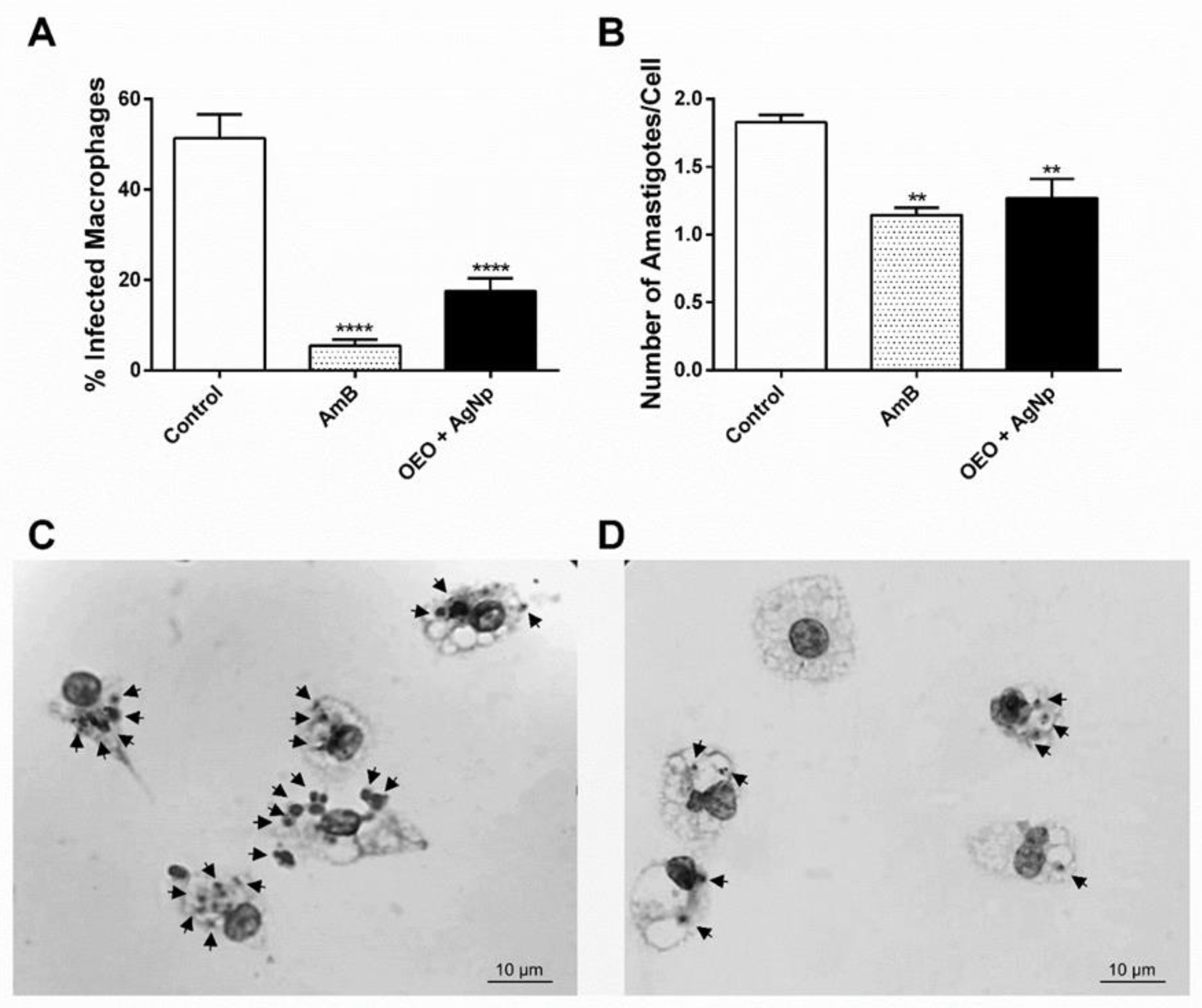 Pathogens 12 00660 g007 Pathogens 12 00660 g007