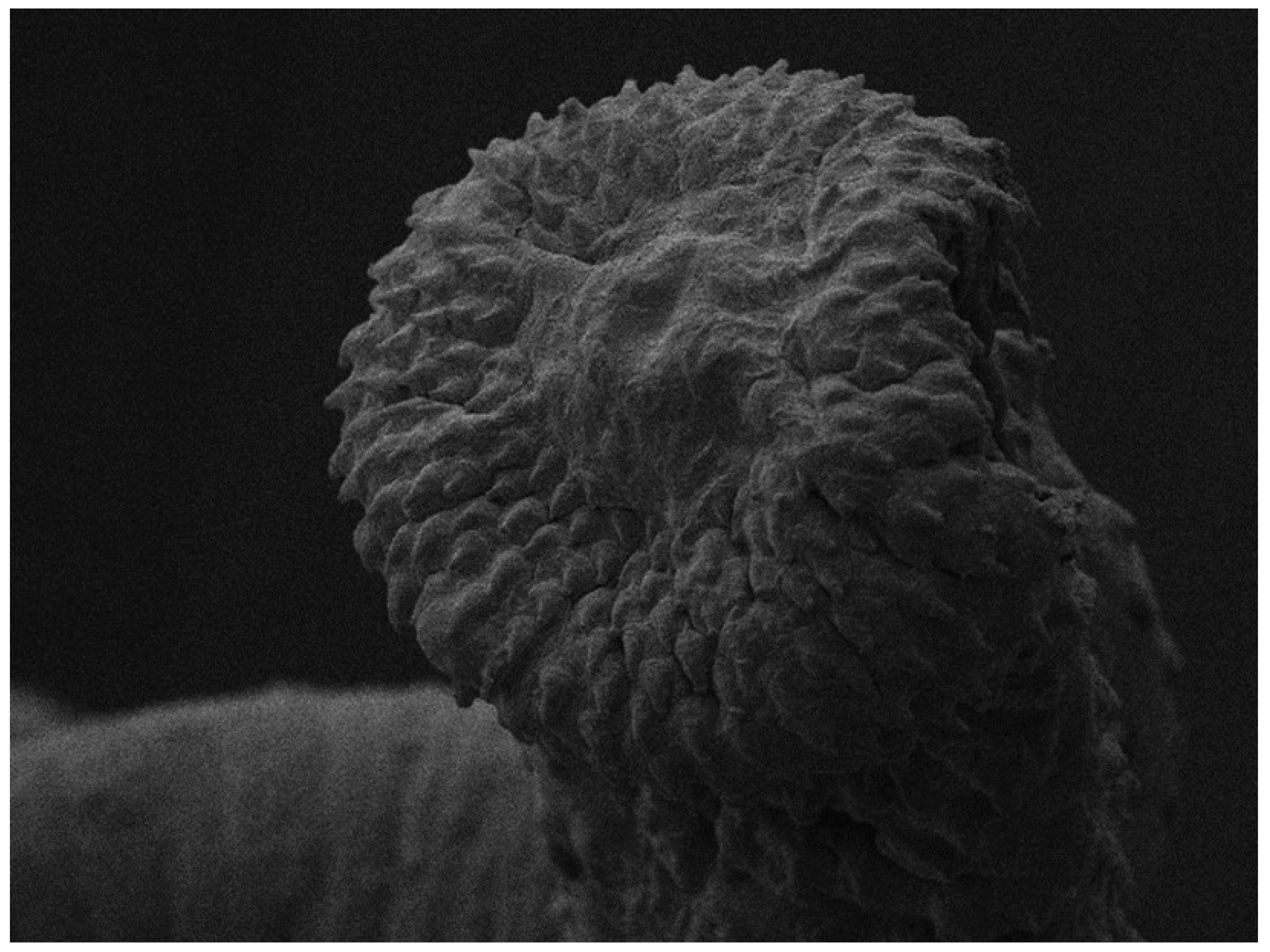 Pathogens 12 00663 g003