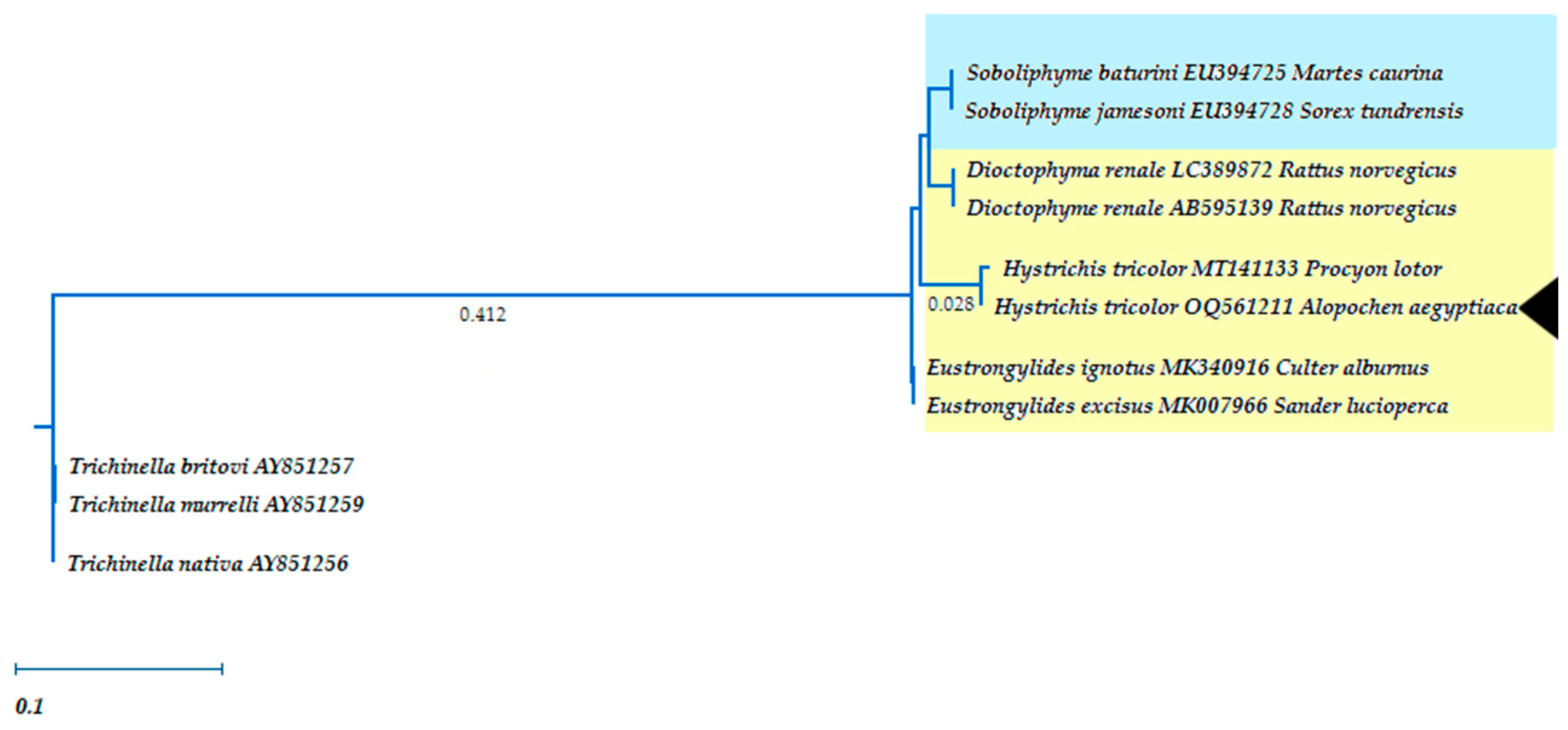 Pathogens 12 00663 g004
