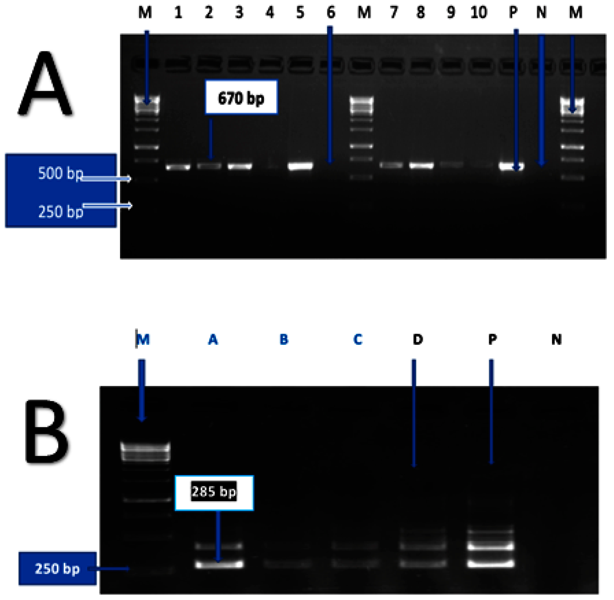 Pathogens 12 00666 g002