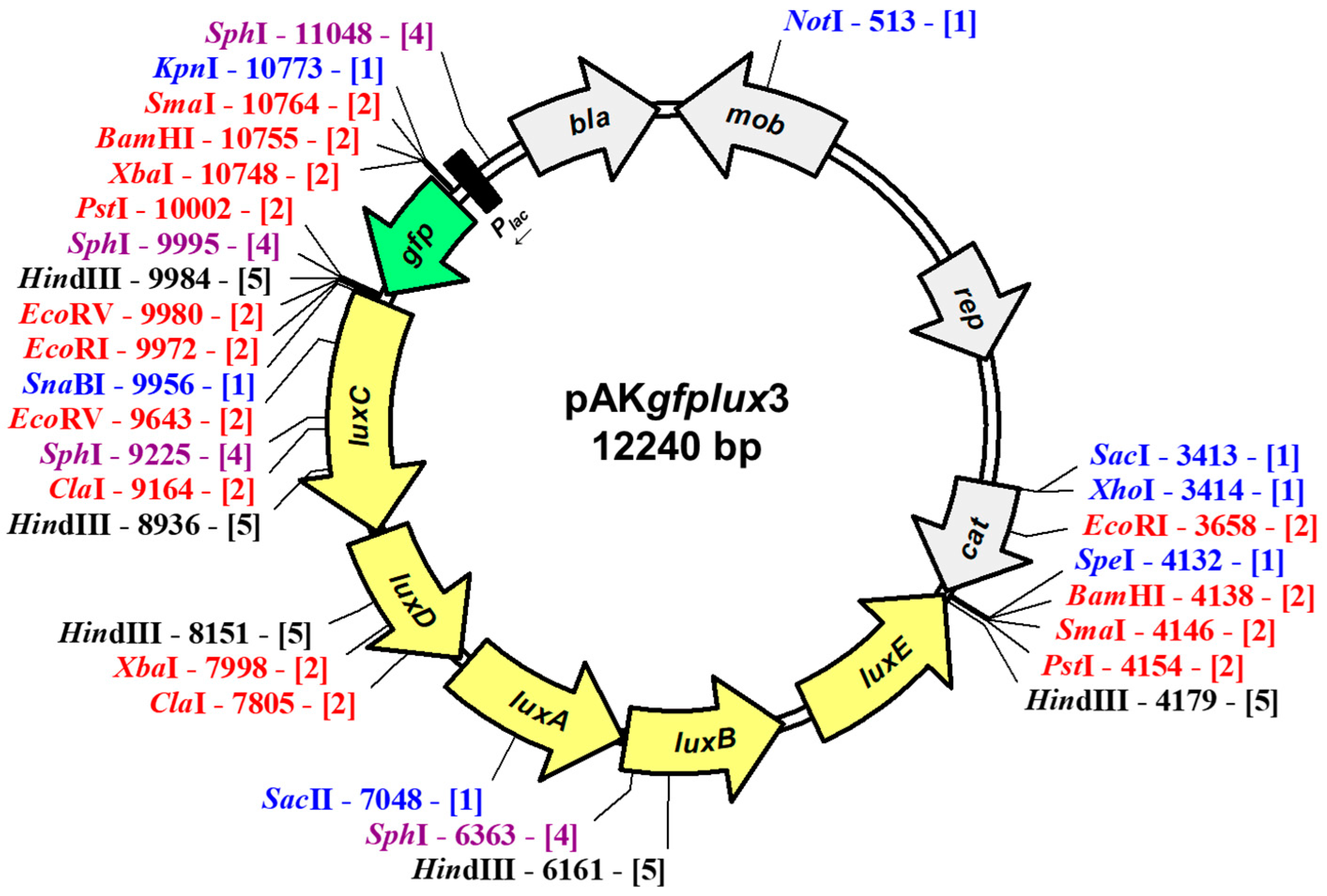Pathogens 12 00670 g001