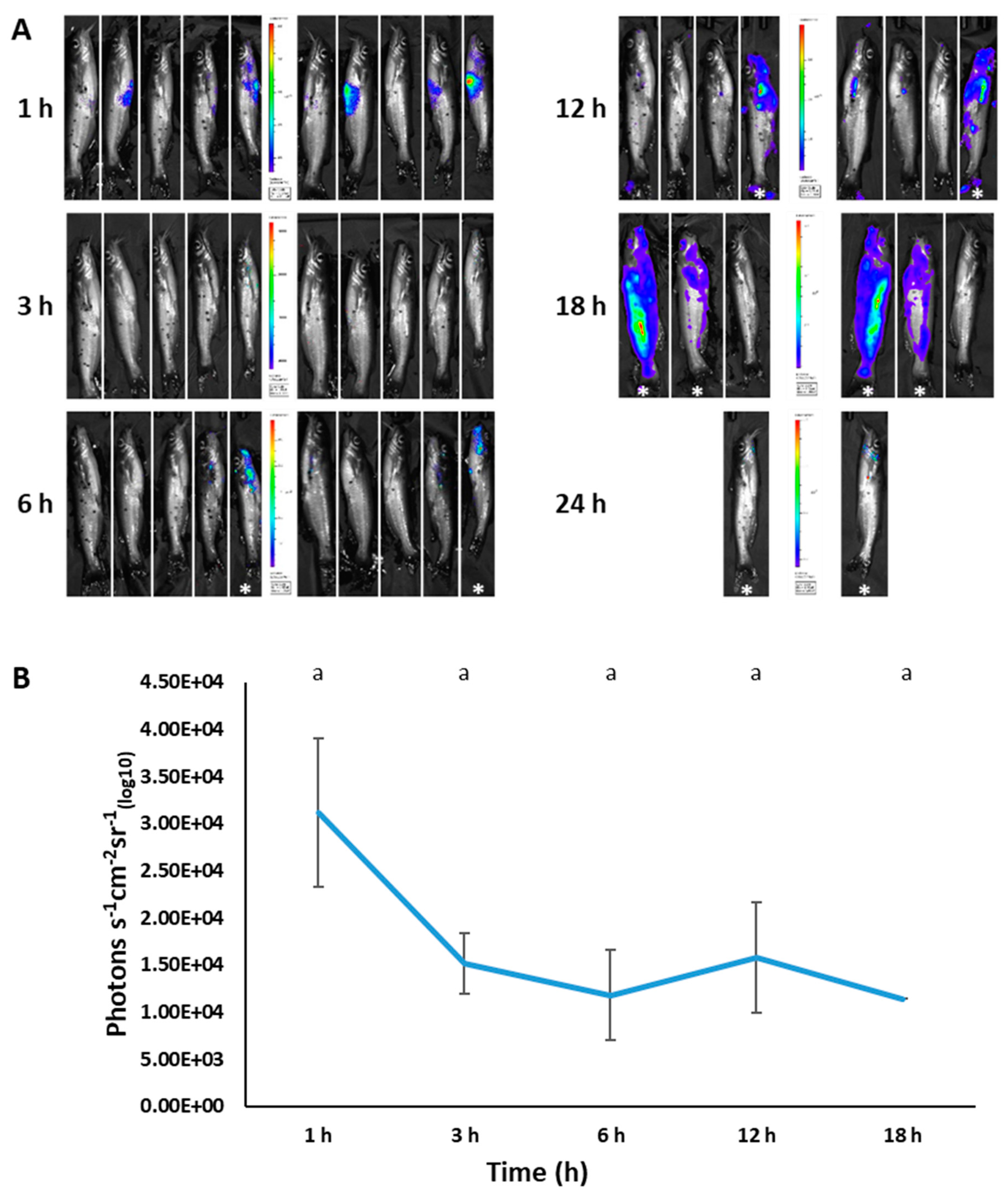 Pathogens 12 00670 g008