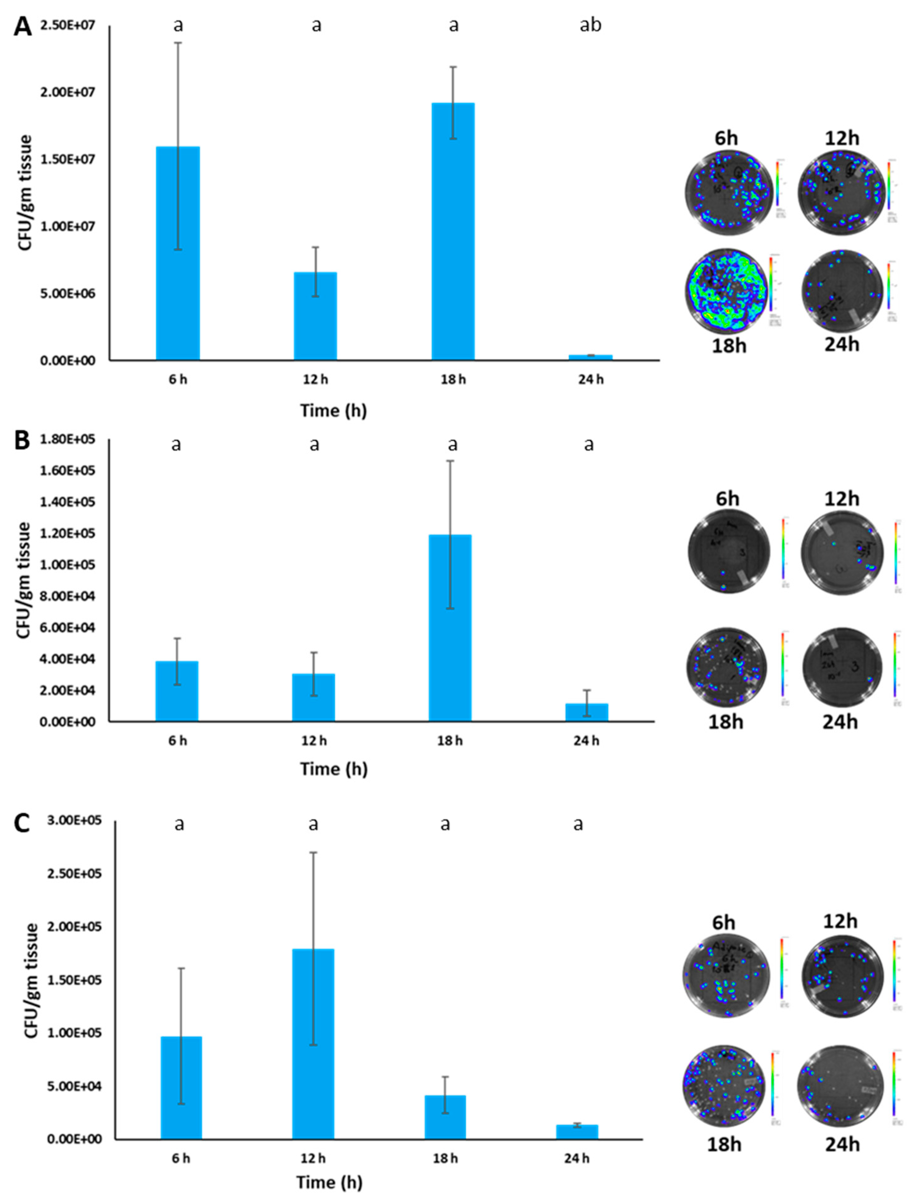 Pathogens 12 00670 g012