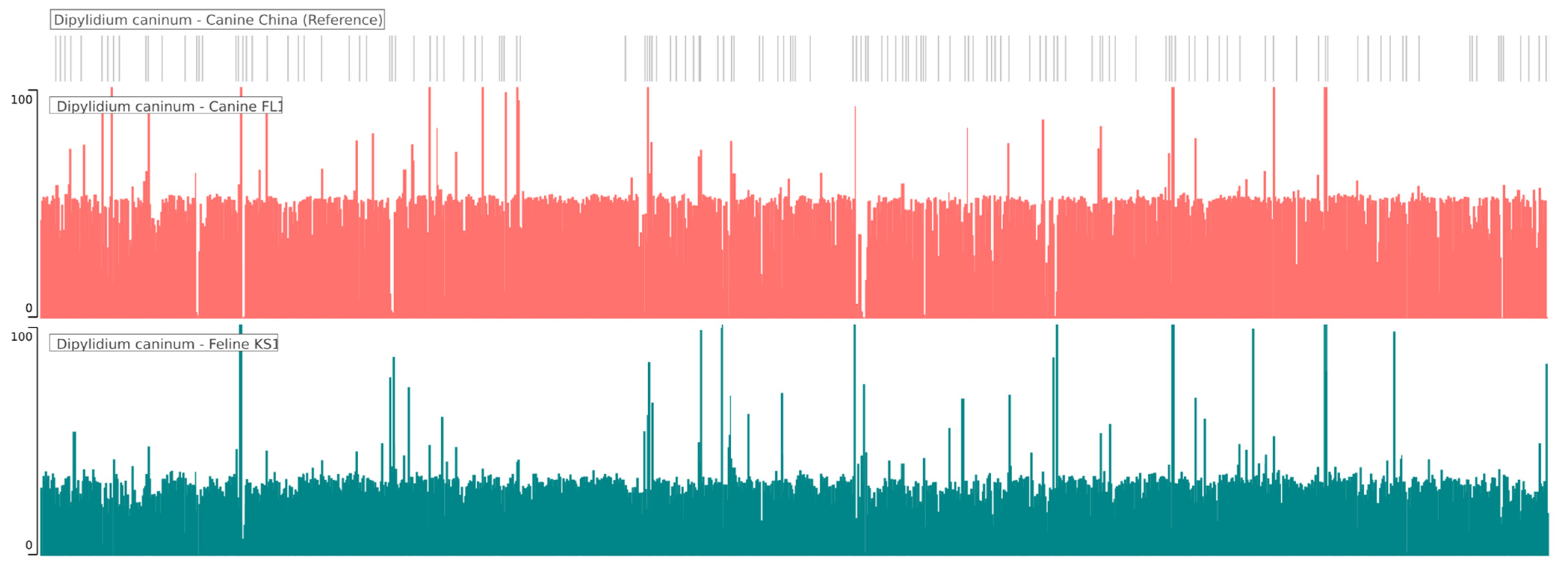 Pathogens 12 00675 g001 Pathogens 12 00675 g001
