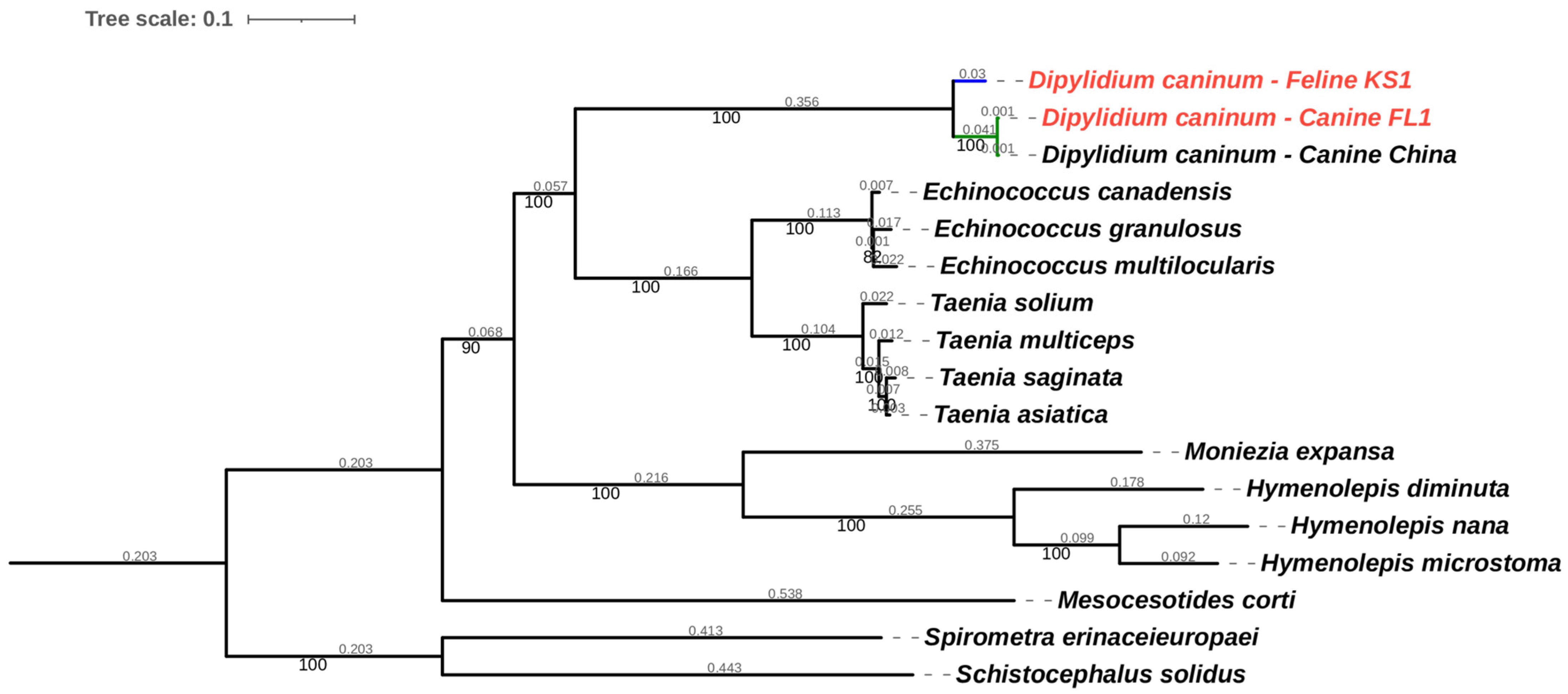 Pathogens 12 00675 g007 Pathogens 12 00675 g007