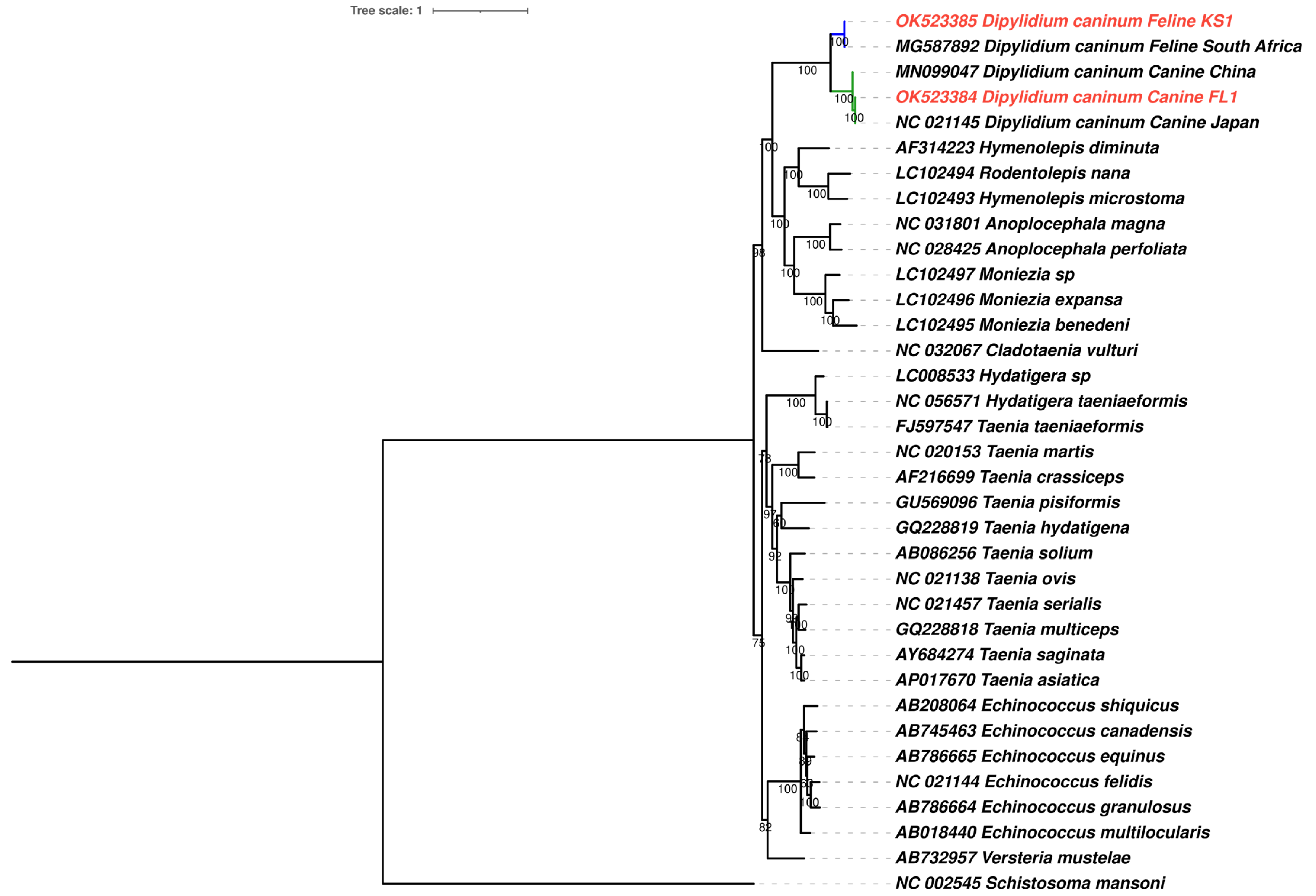 Pathogens 12 00675 g008 Pathogens 12 00675 g008