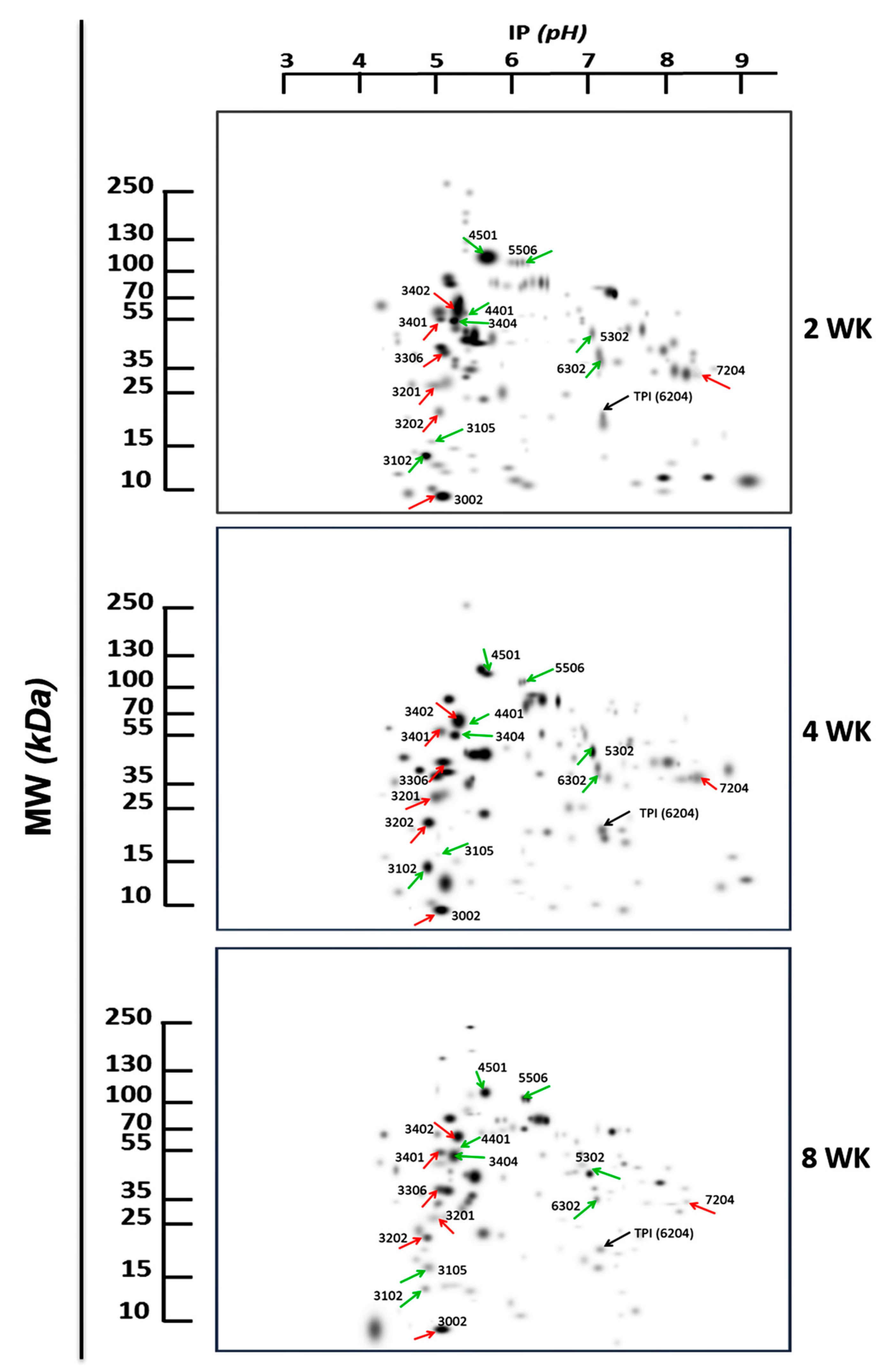 Pathogens 12 00678 g002 Pathogens 12 00678 g002