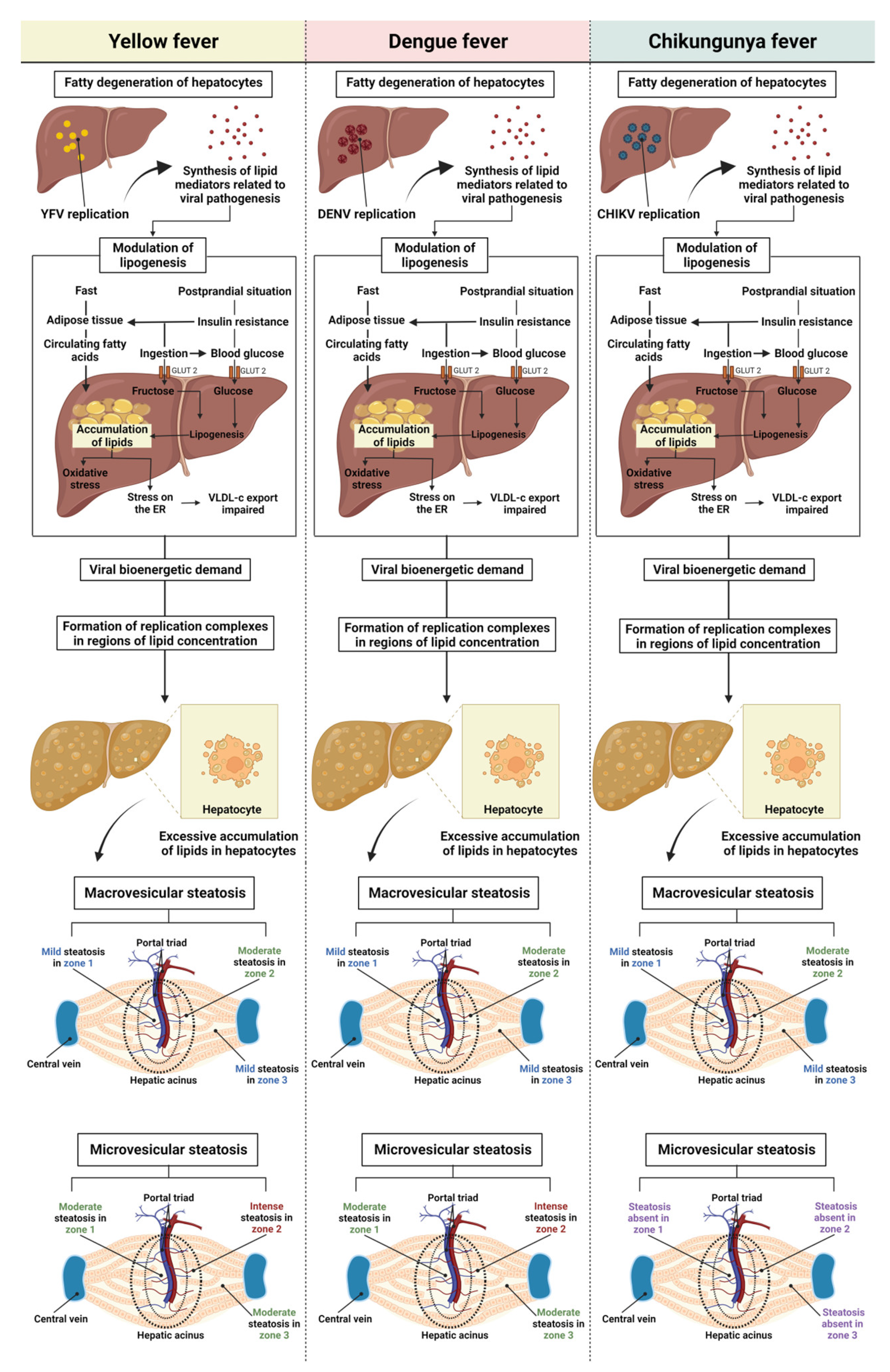 Pathogens 12 00680 g009 Pathogens 12 00680 g009