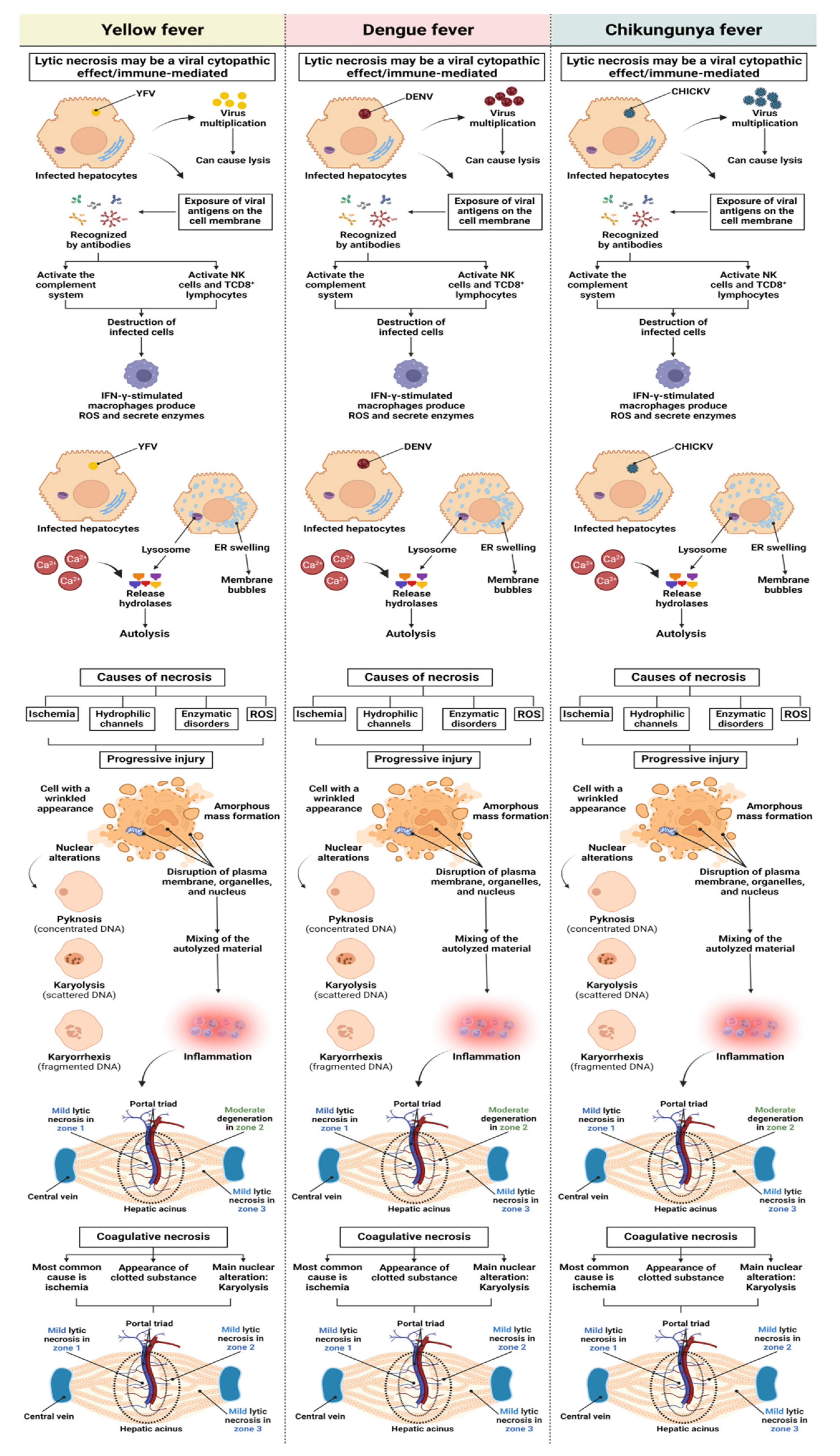 Pathogens 12 00680 g010 Pathogens 12 00680 g010