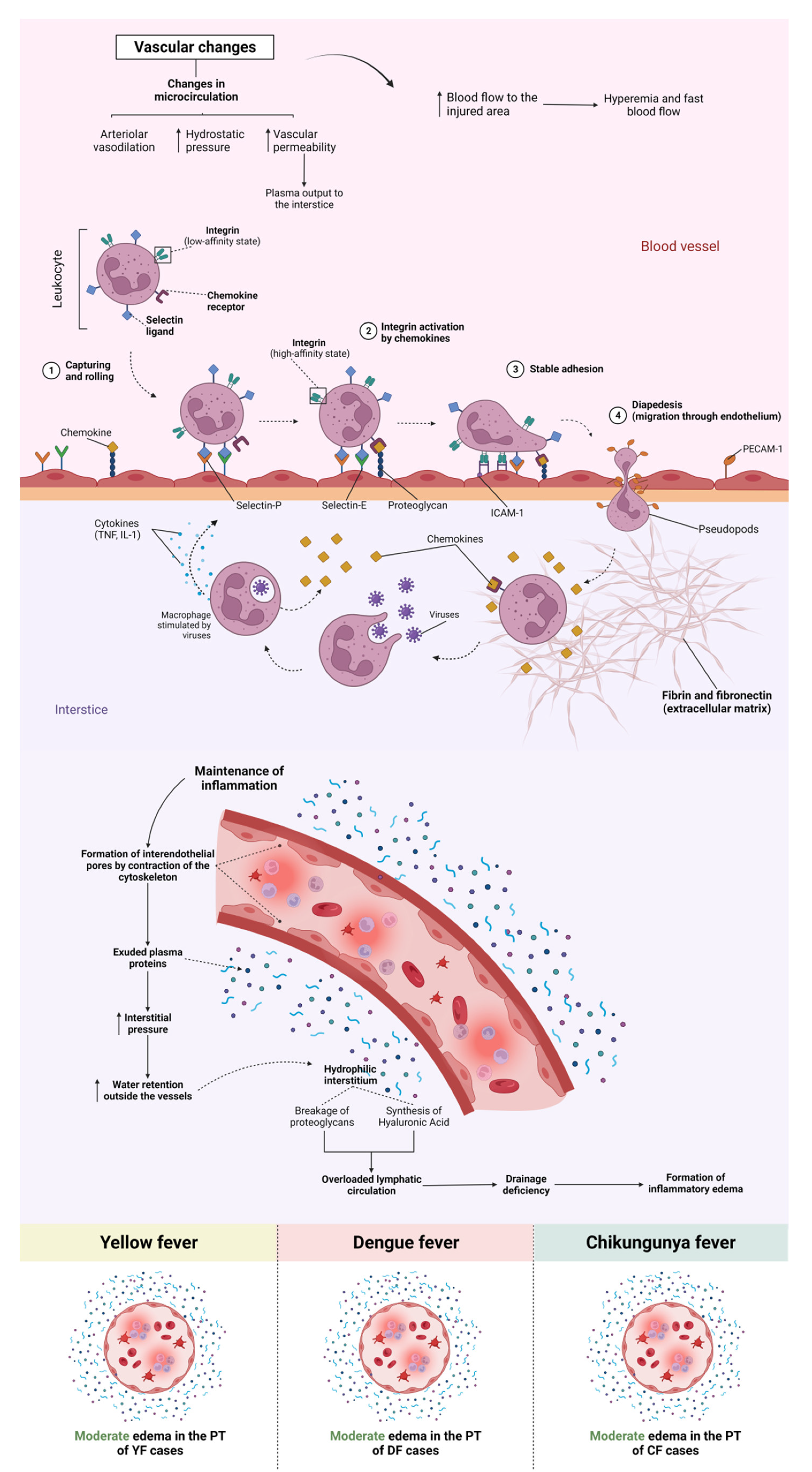 Pathogens 12 00680 g012 Pathogens 12 00680 g012