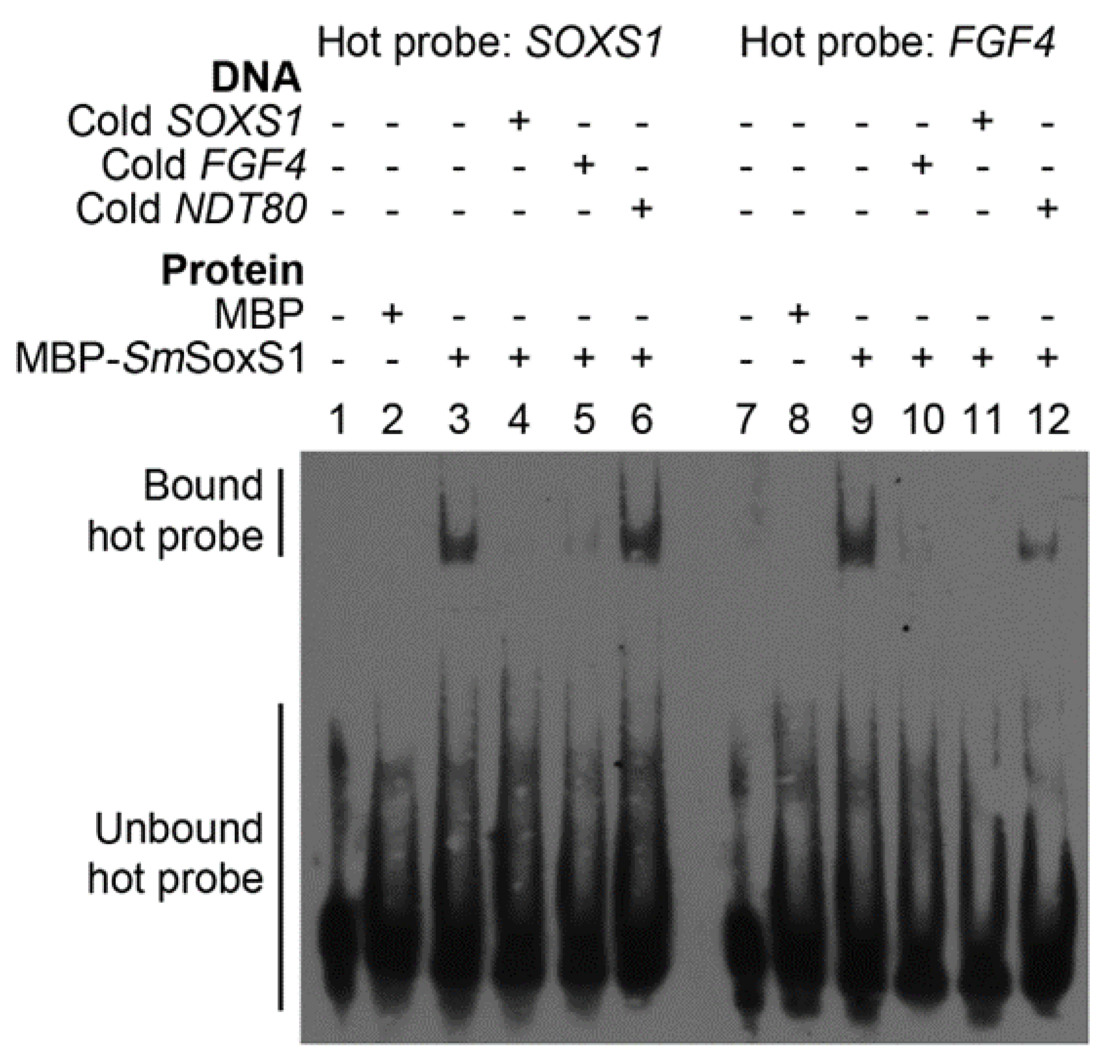 Pathogens 12 00690 g003