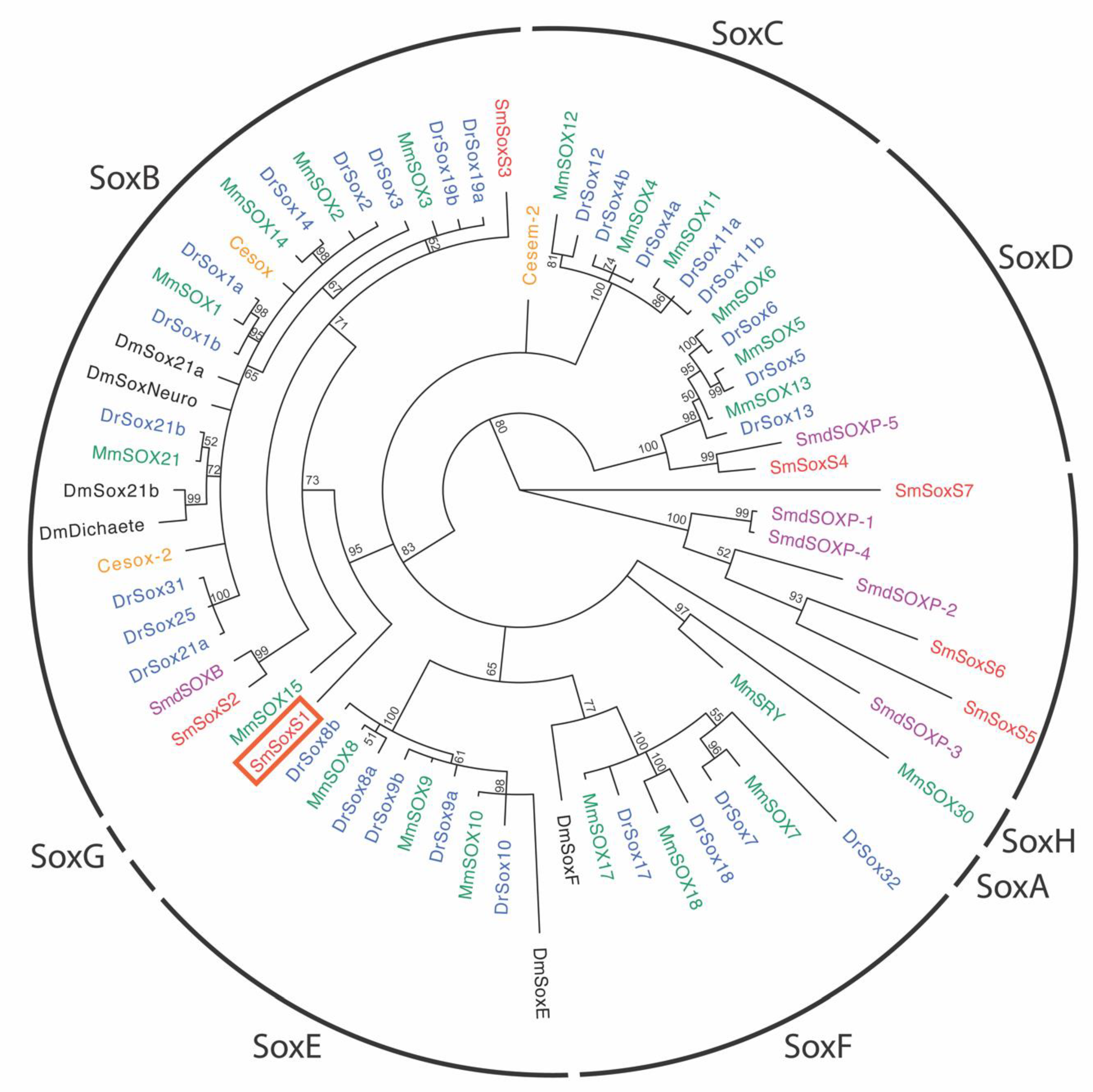 Pathogens 12 00690 g007