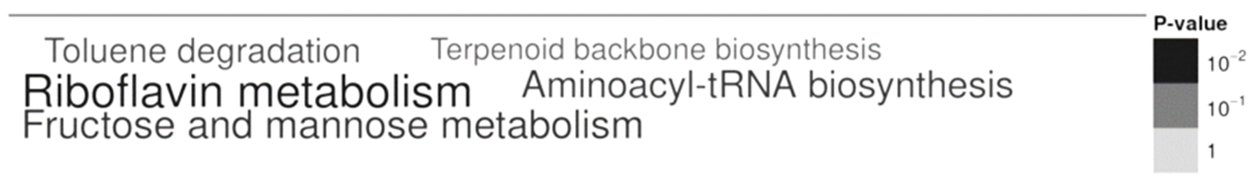 Pathogens 12 00692 g003 Pathogens 12 00692 g003