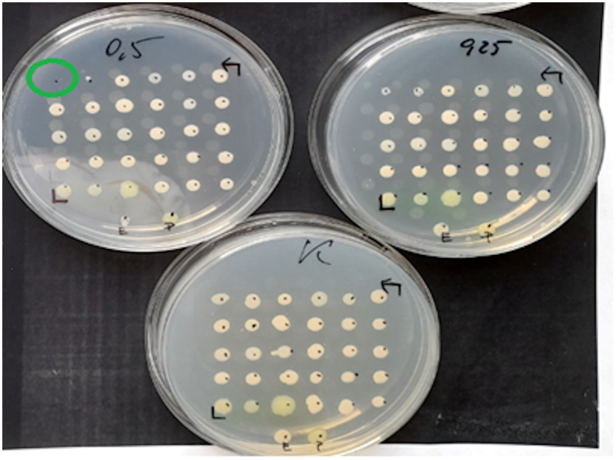 Pathogens 12 00700 g002