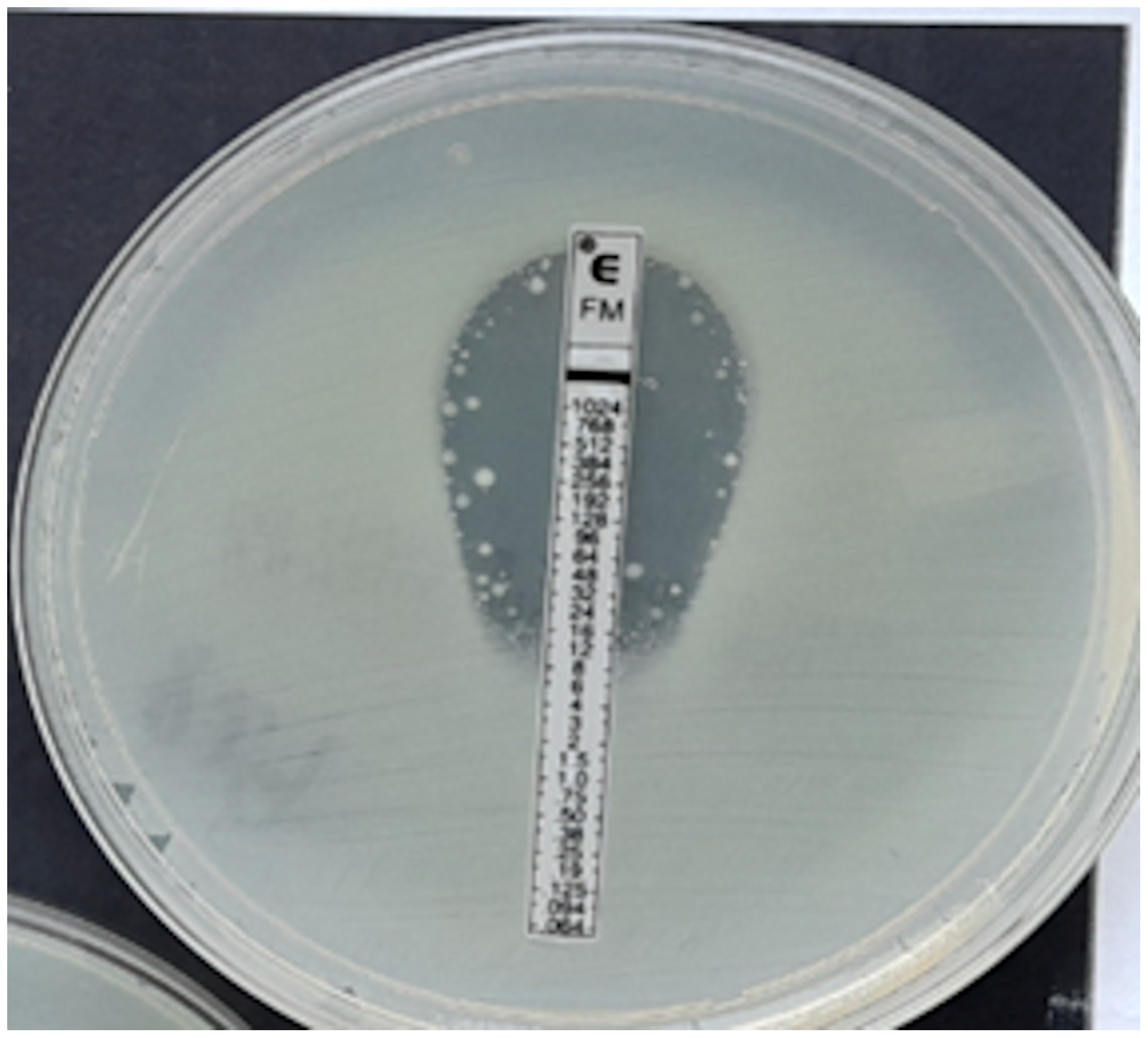 Pathogens 12 00700 g004