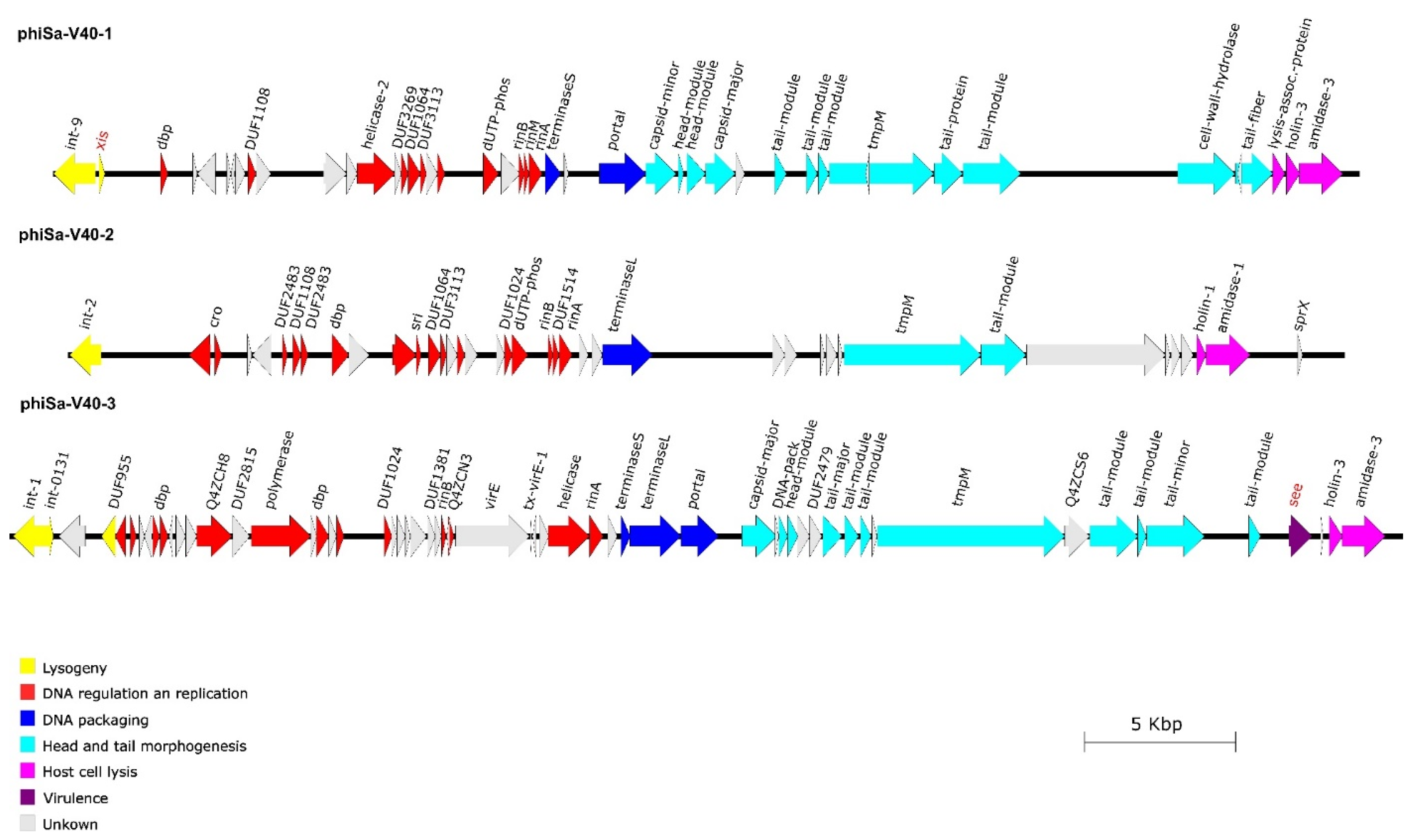 Pathogens 12 00704 g001