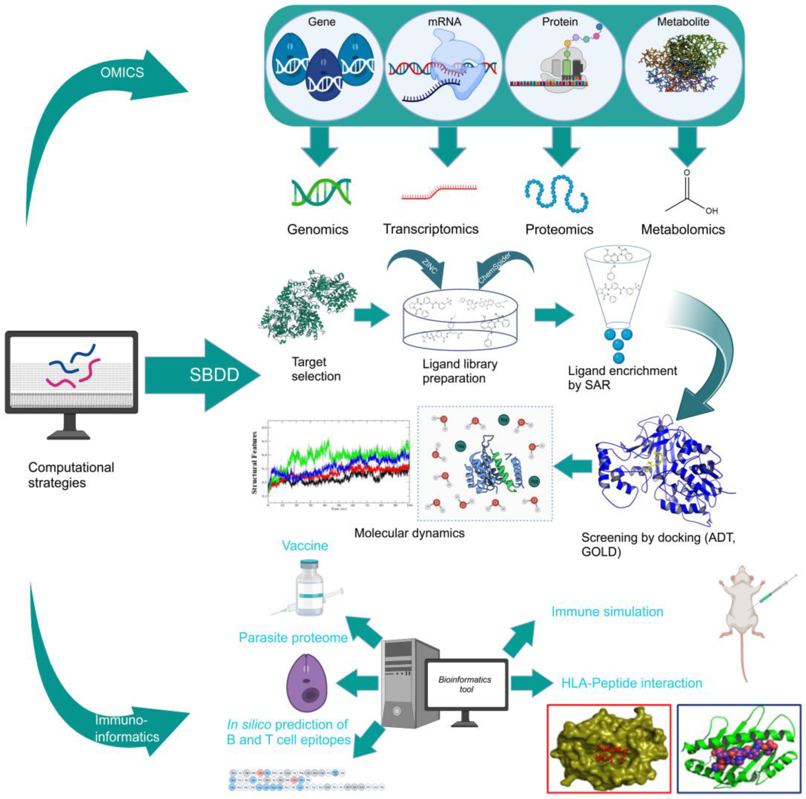 Pathogens 12 00706 g002