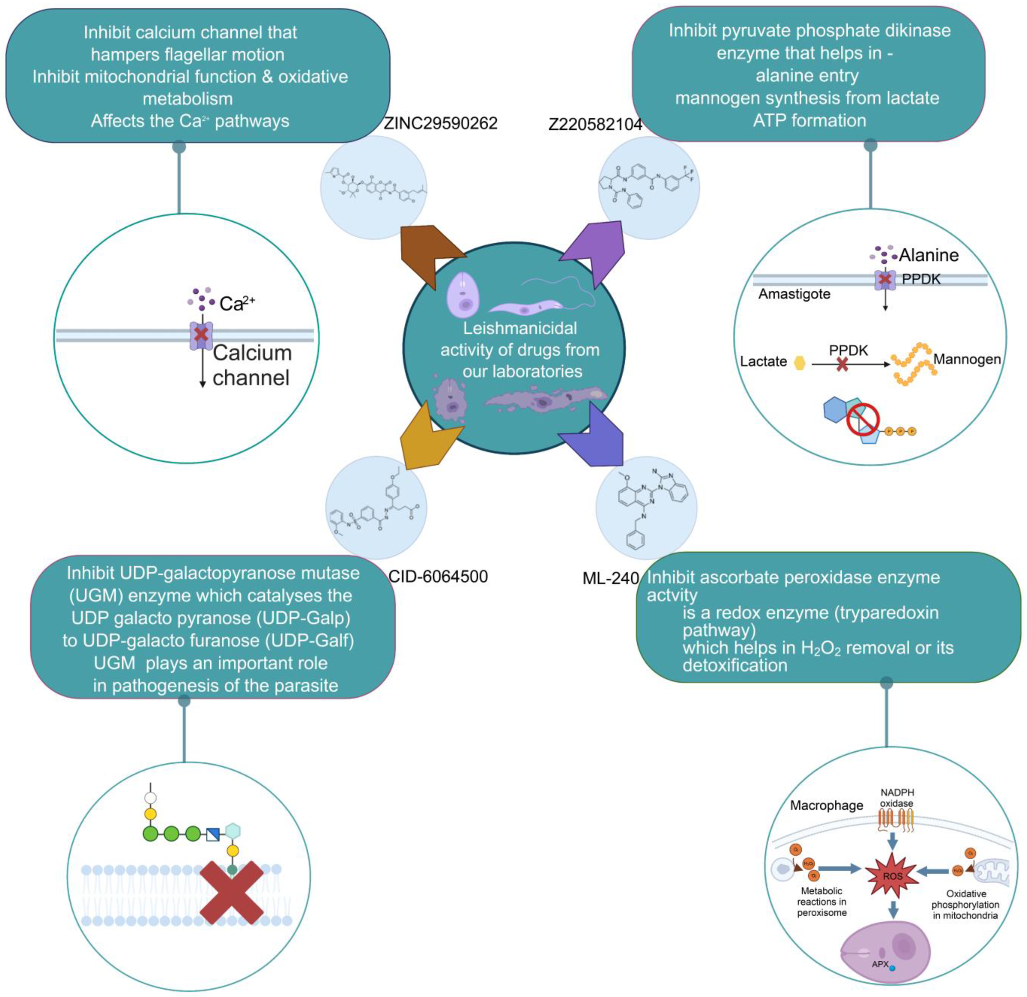 Pathogens 12 00706 g003