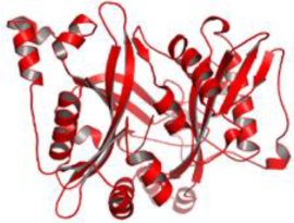 Pathogens 12 00706 i010