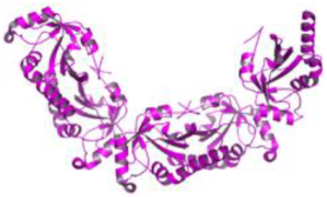 Pathogens 12 00706 i012