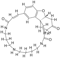 Pathogens 12 00706 i019