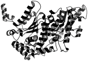 Pathogens 12 00706 i035