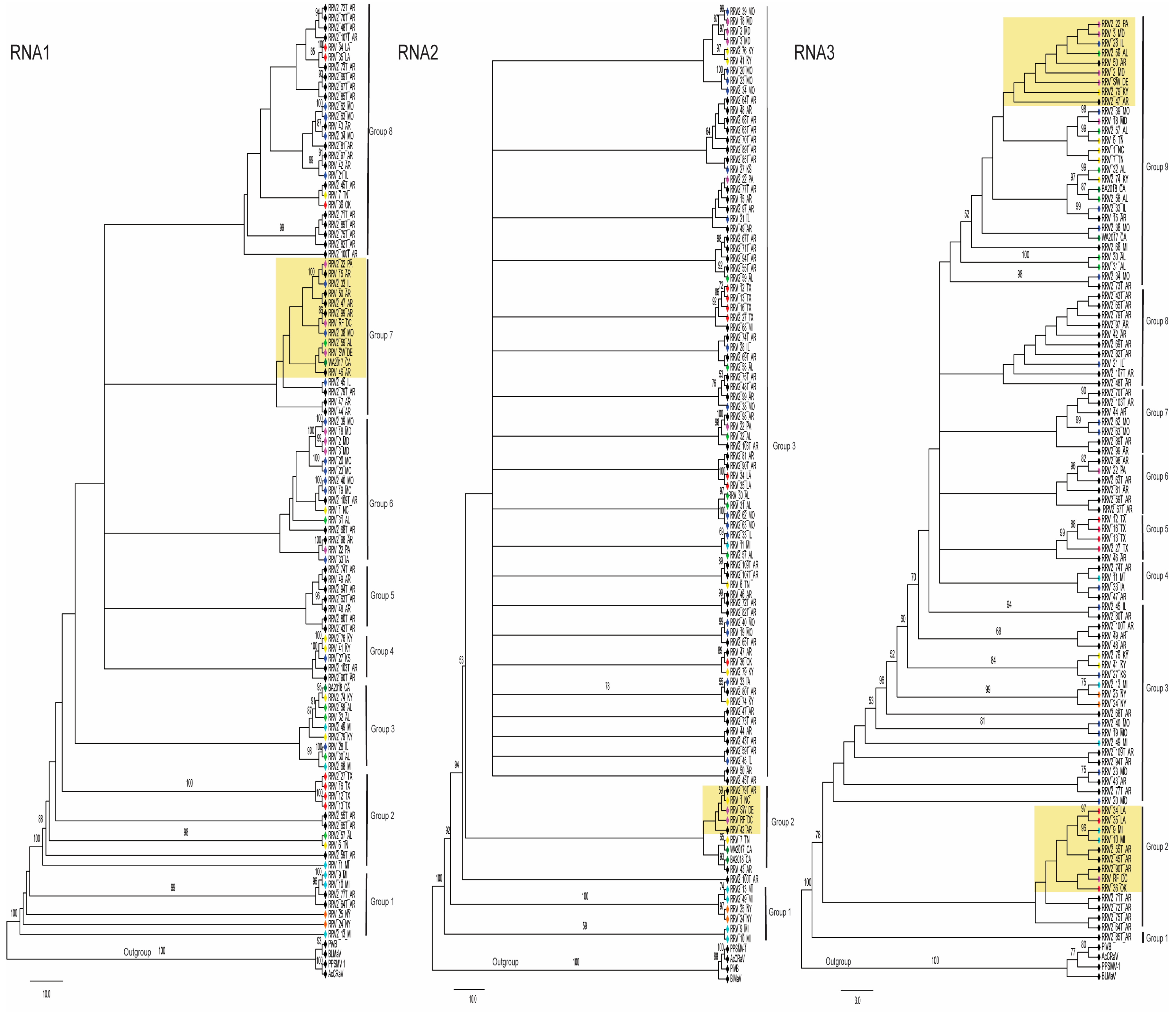Pathogens 12 00707 g003