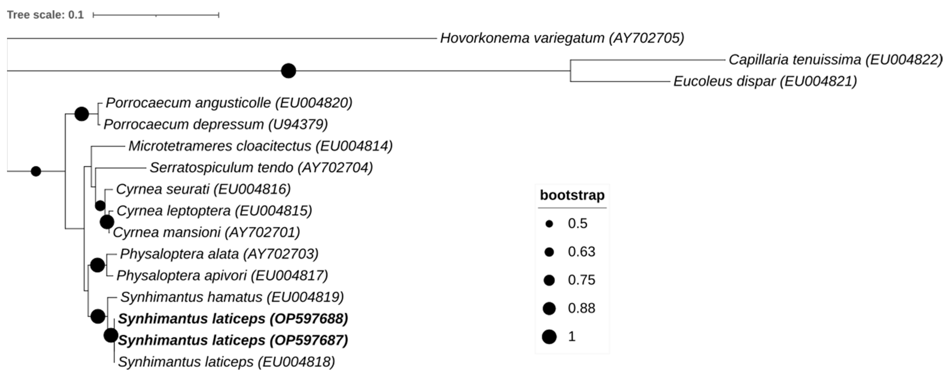 Pathogens 12 00717 g008 Pathogens 12 00717 g008
