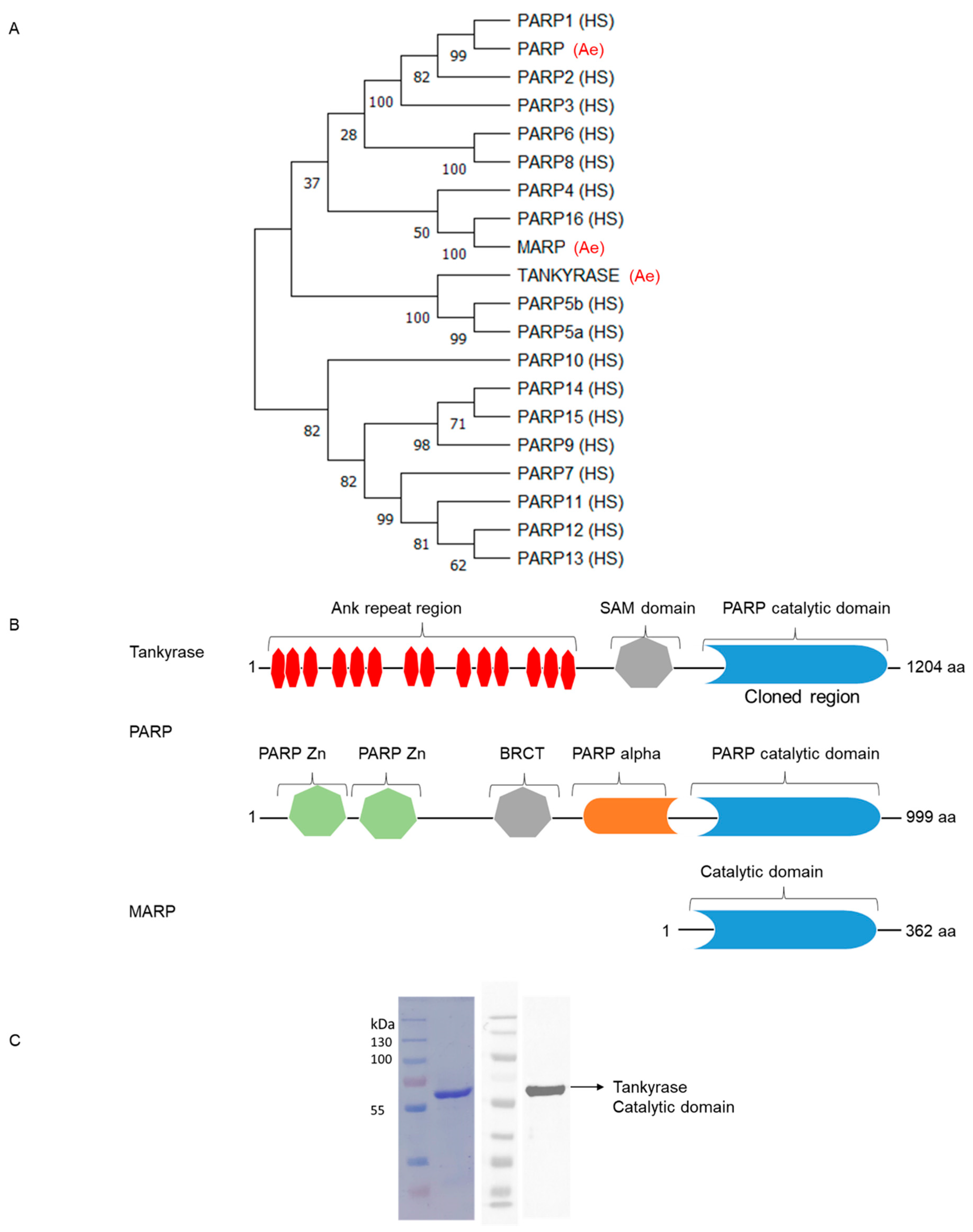 Pathogens 12 00718 g001