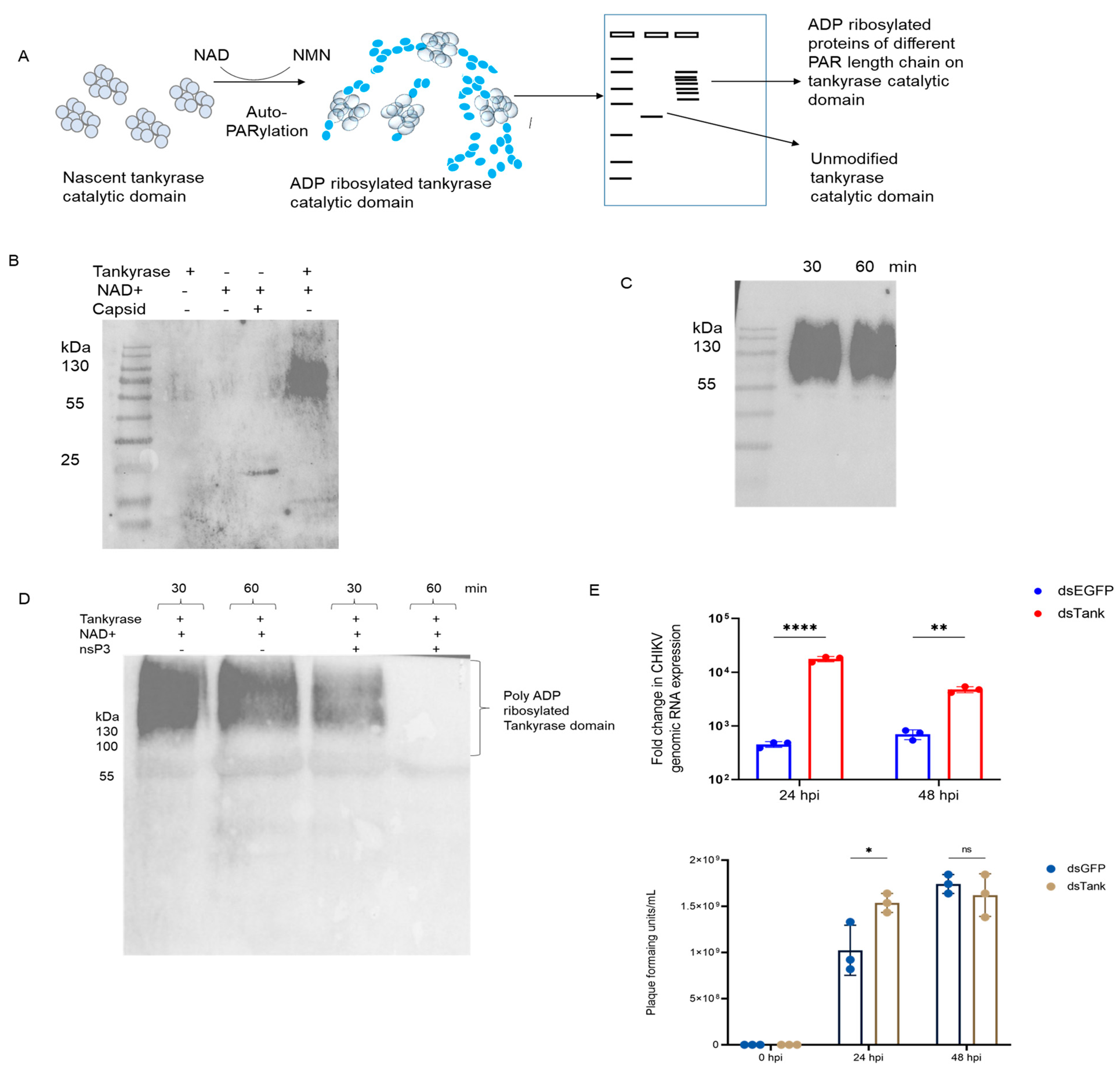 Pathogens 12 00718 g002