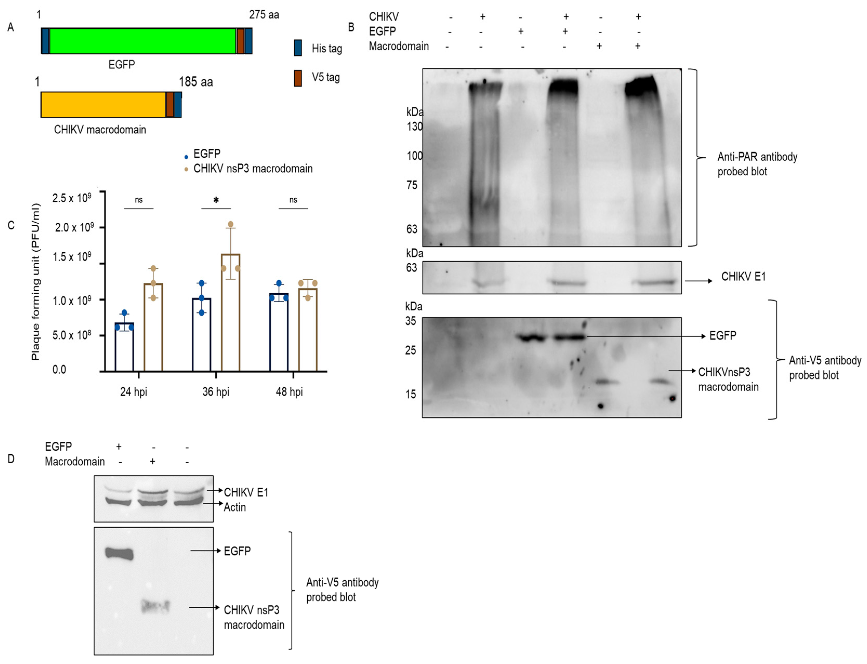 Pathogens 12 00718 g003