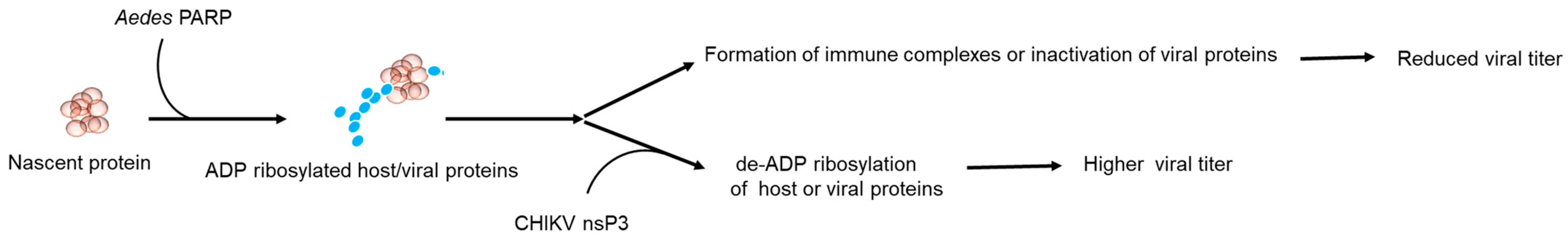 Pathogens 12 00718 g004