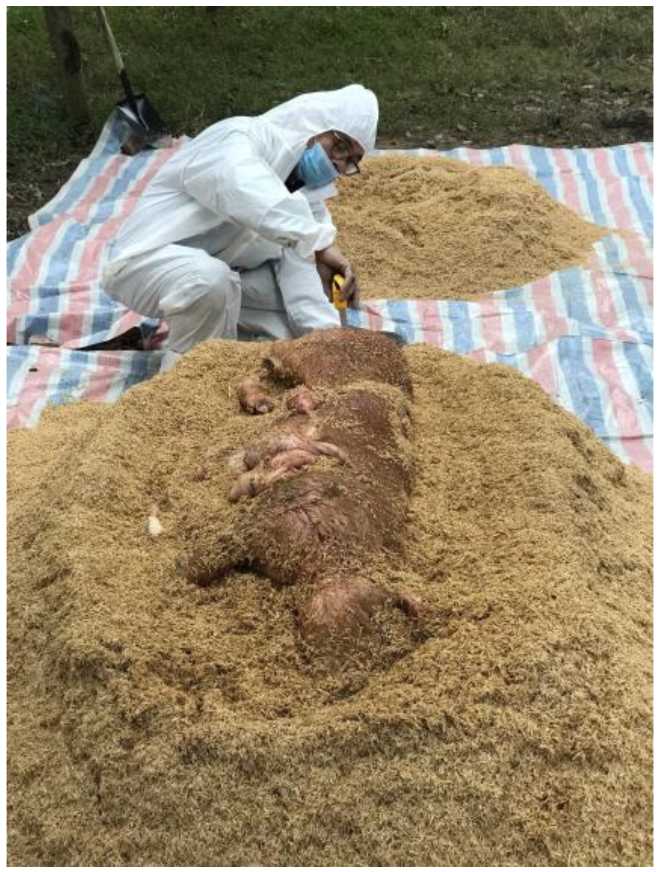 Pathogens 12 00721 g003