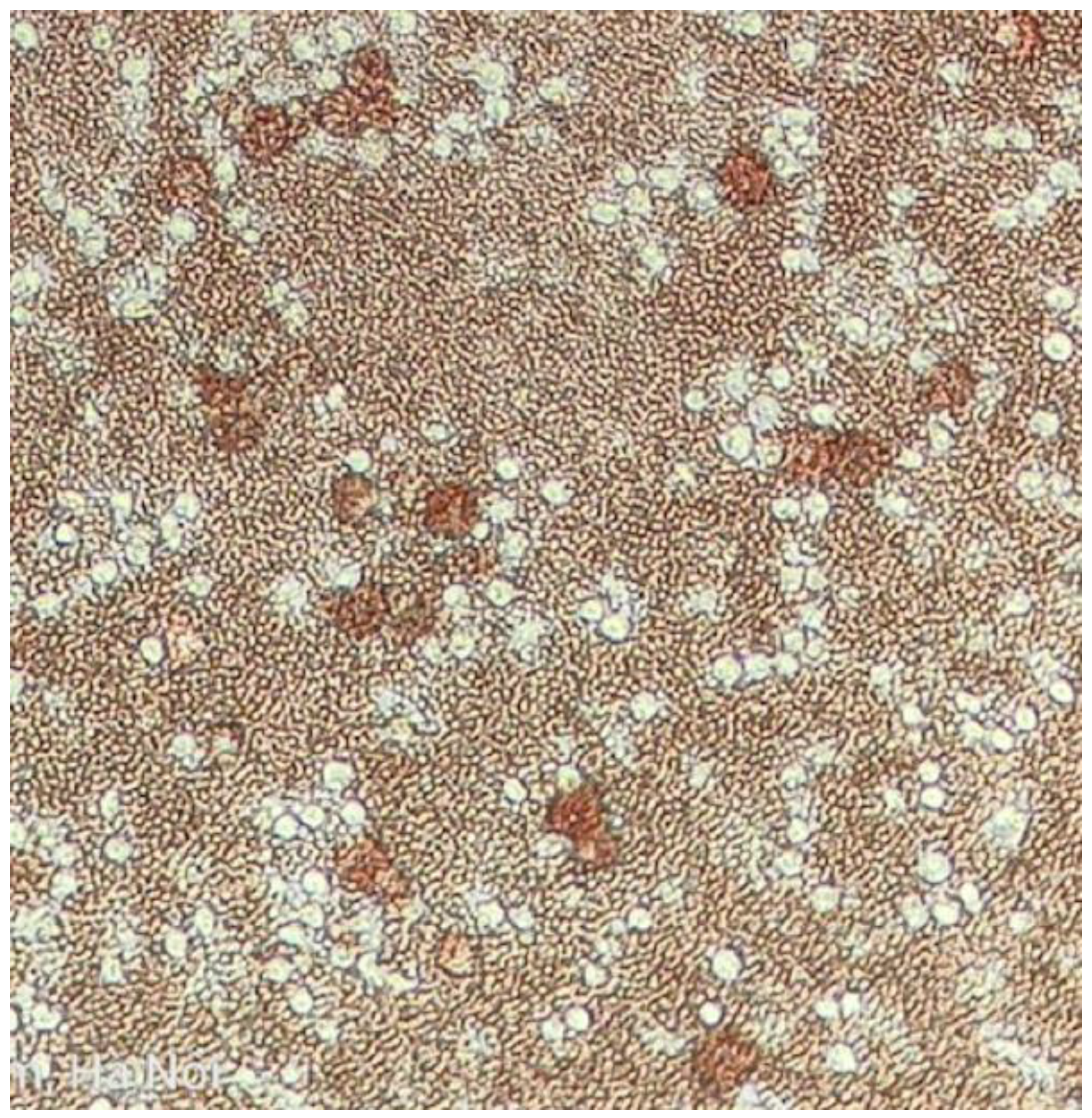 Pathogens 12 00721 g005