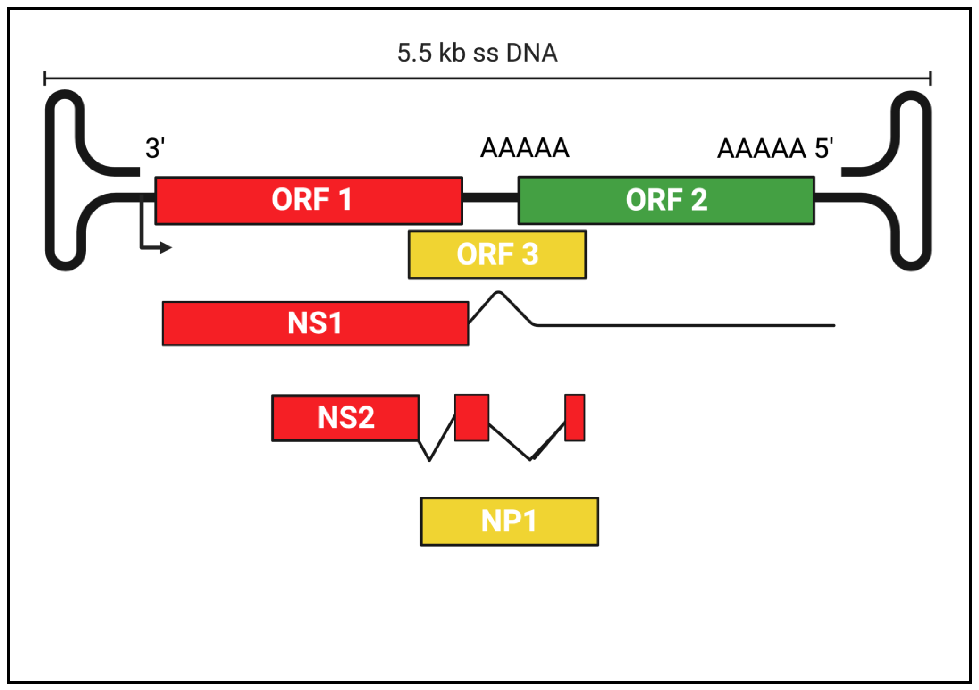 Pathogens 12 00722 g002 Pathogens 12 00722 g002