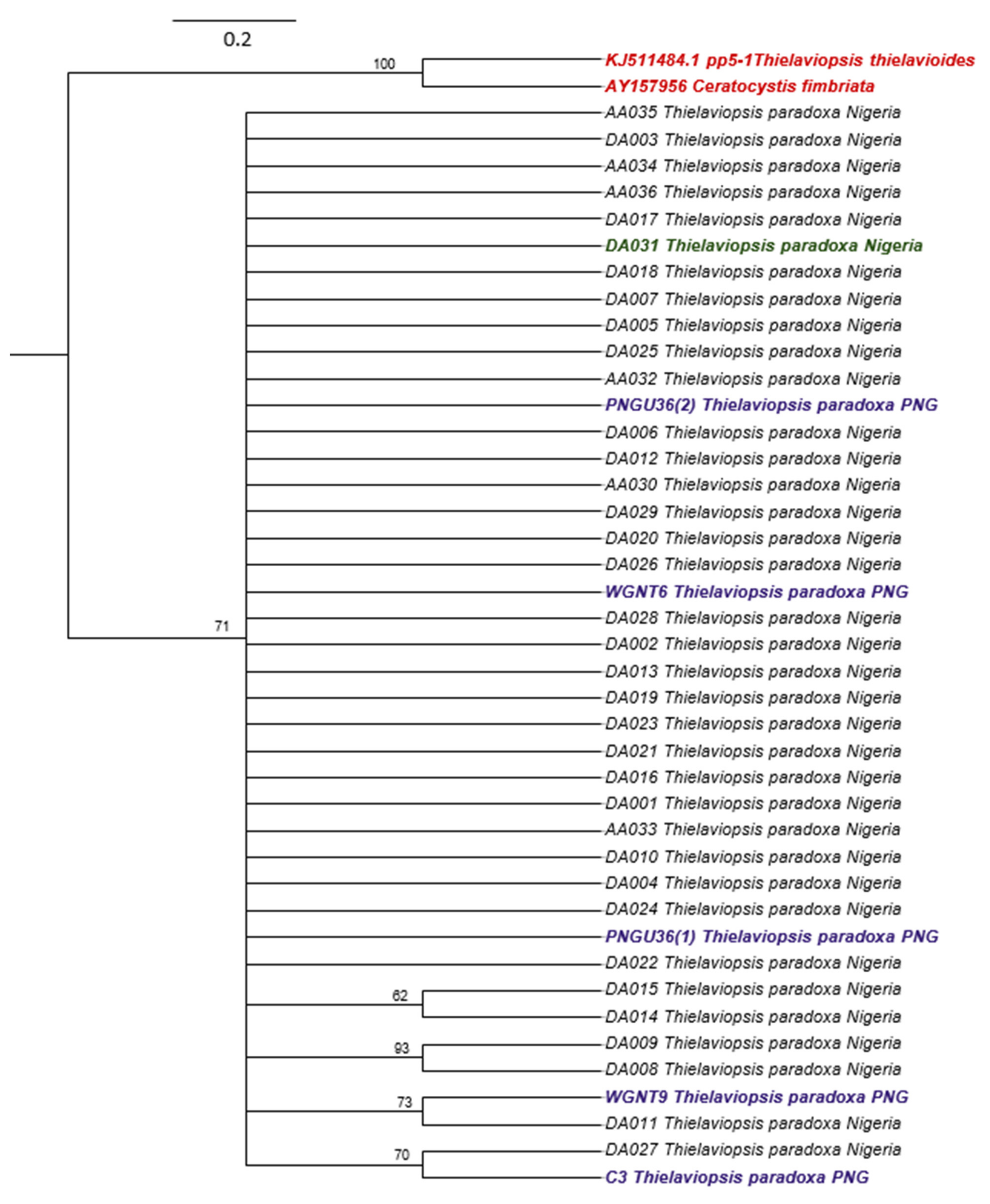 Pathogens 12 00727 g002 Pathogens 12 00727 g002