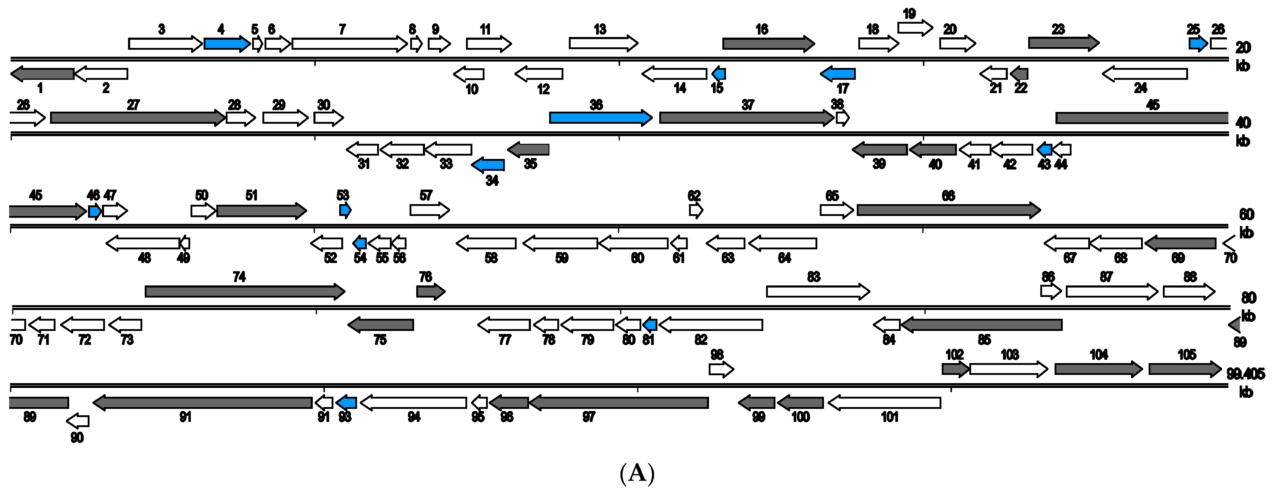 Pathogens 12 00730 g003a