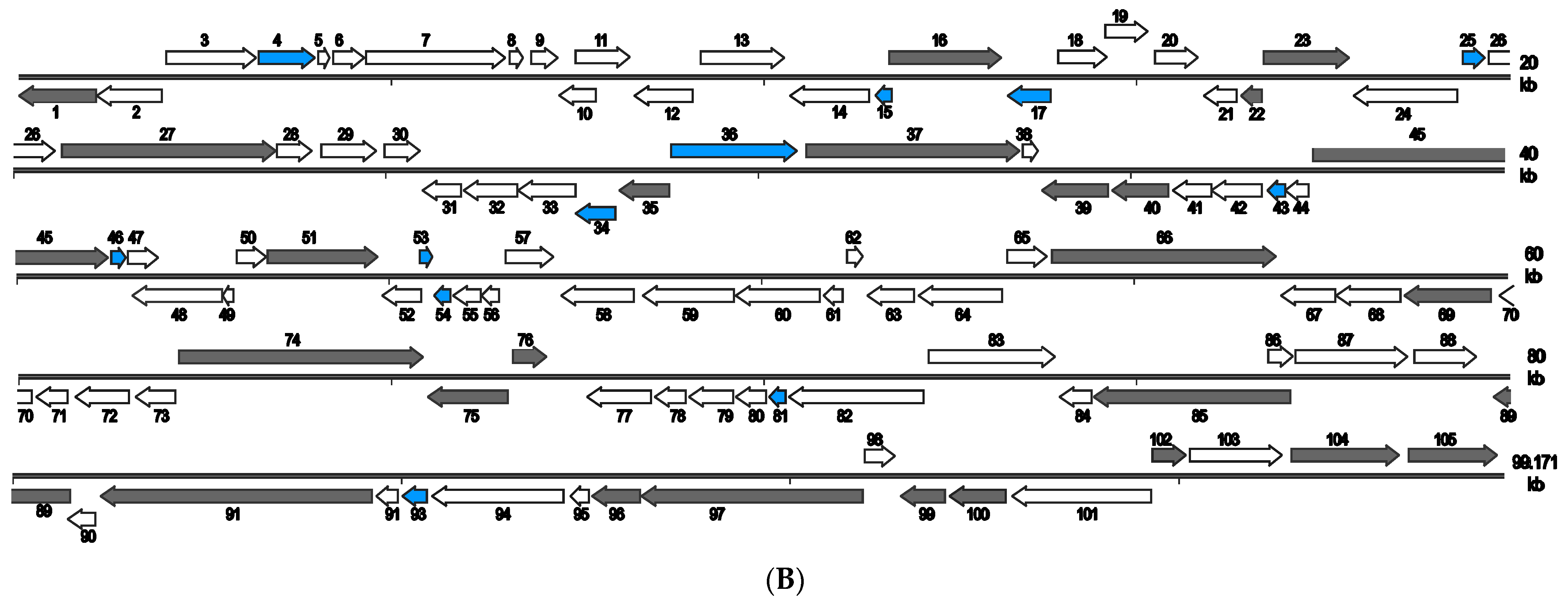 Pathogens 12 00730 g003b