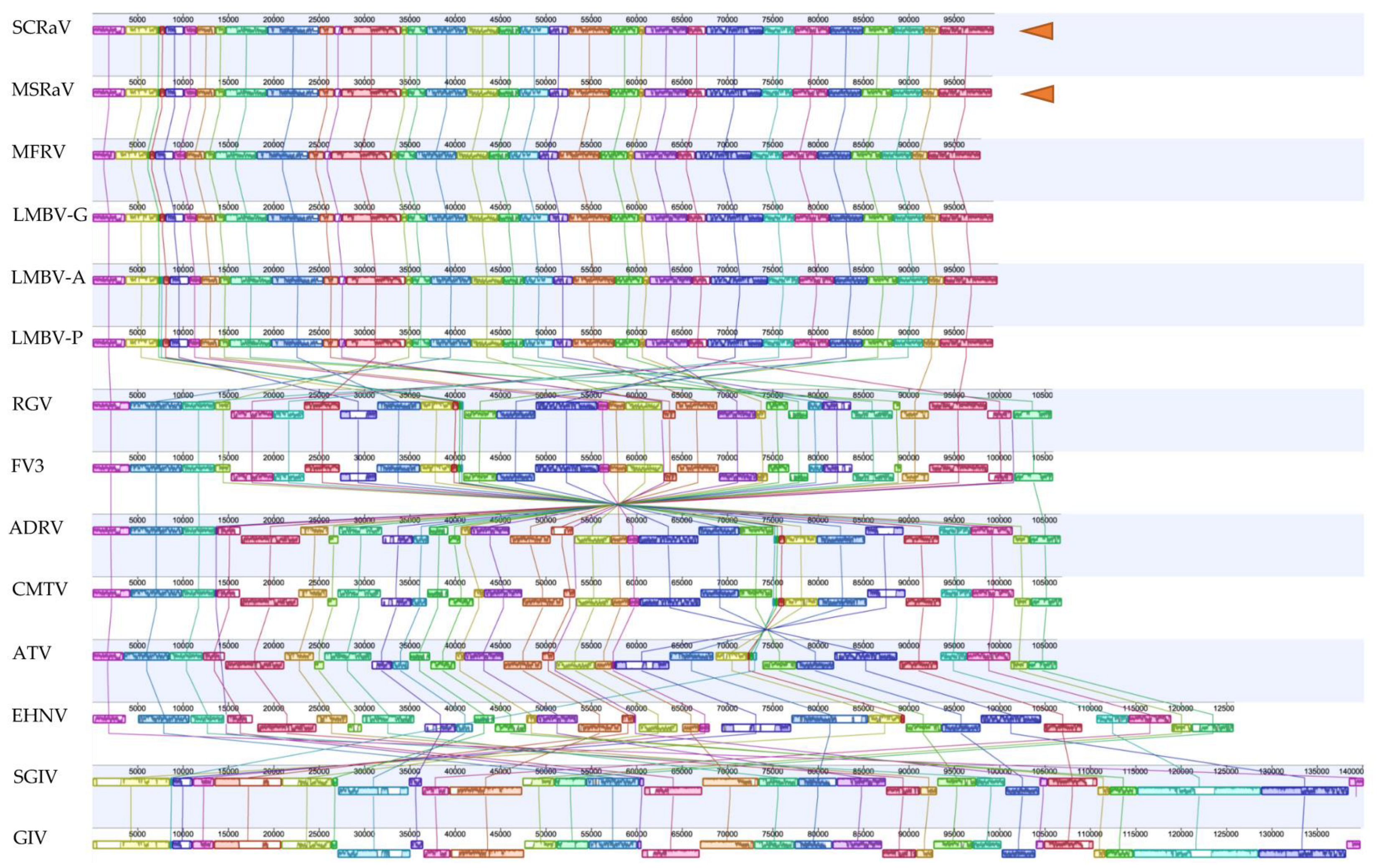 Pathogens 12 00730 g005
