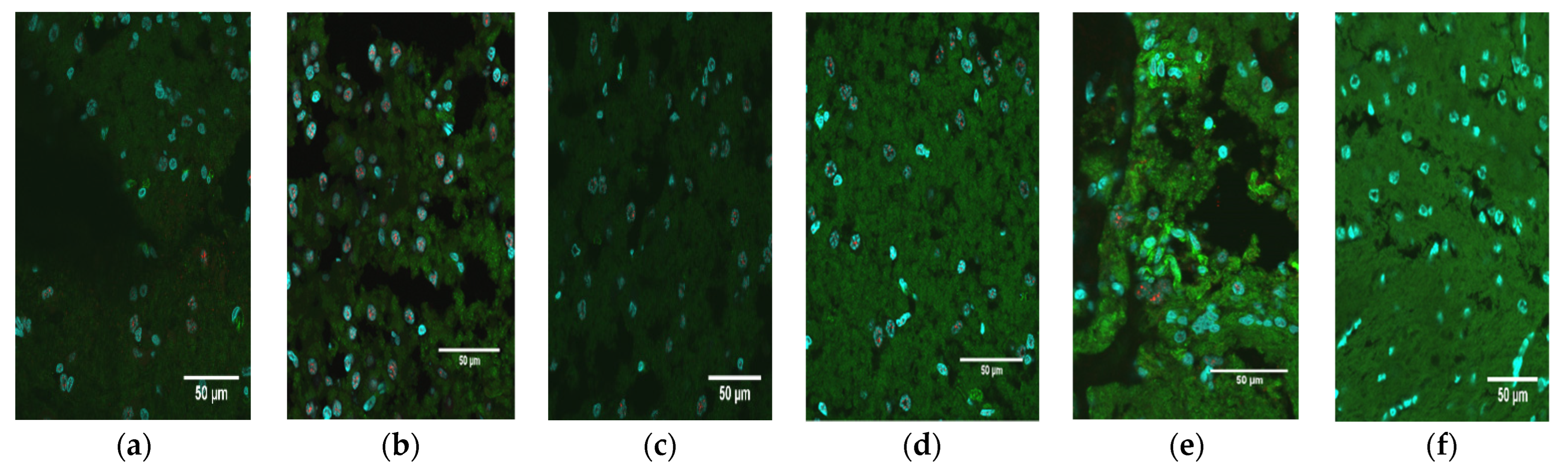 Pathogens 12 00733 g002