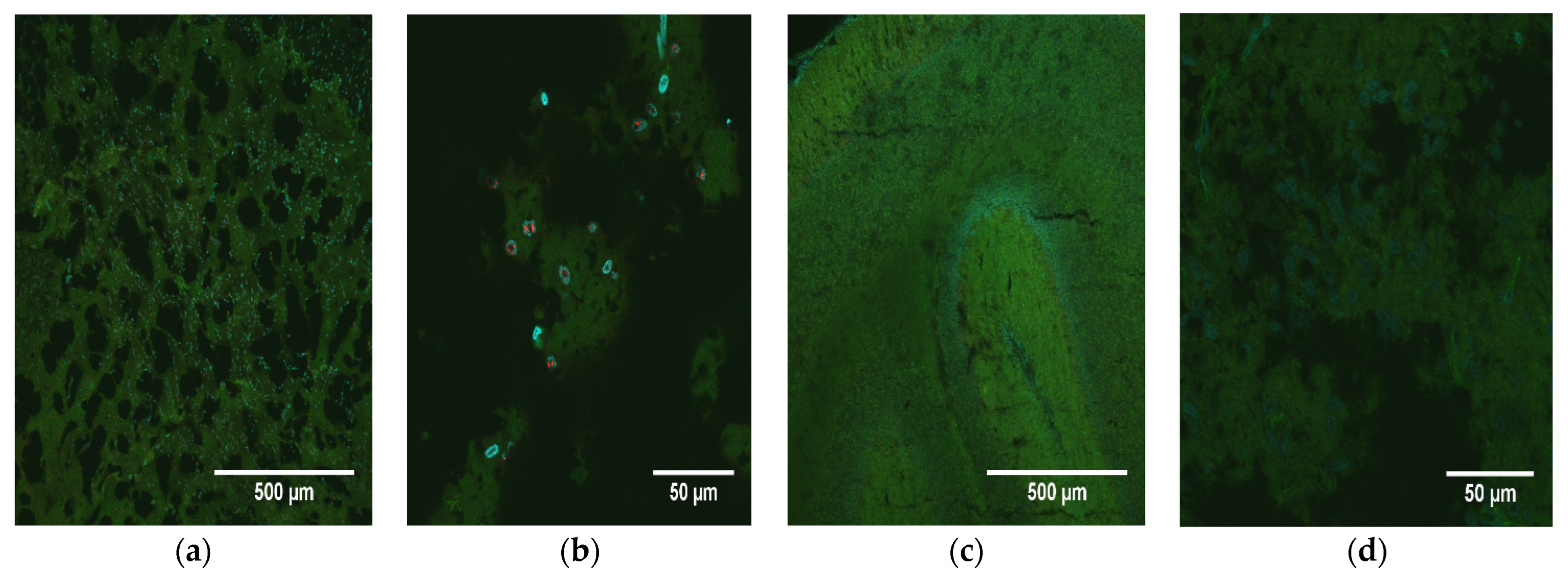 Pathogens 12 00733 g004