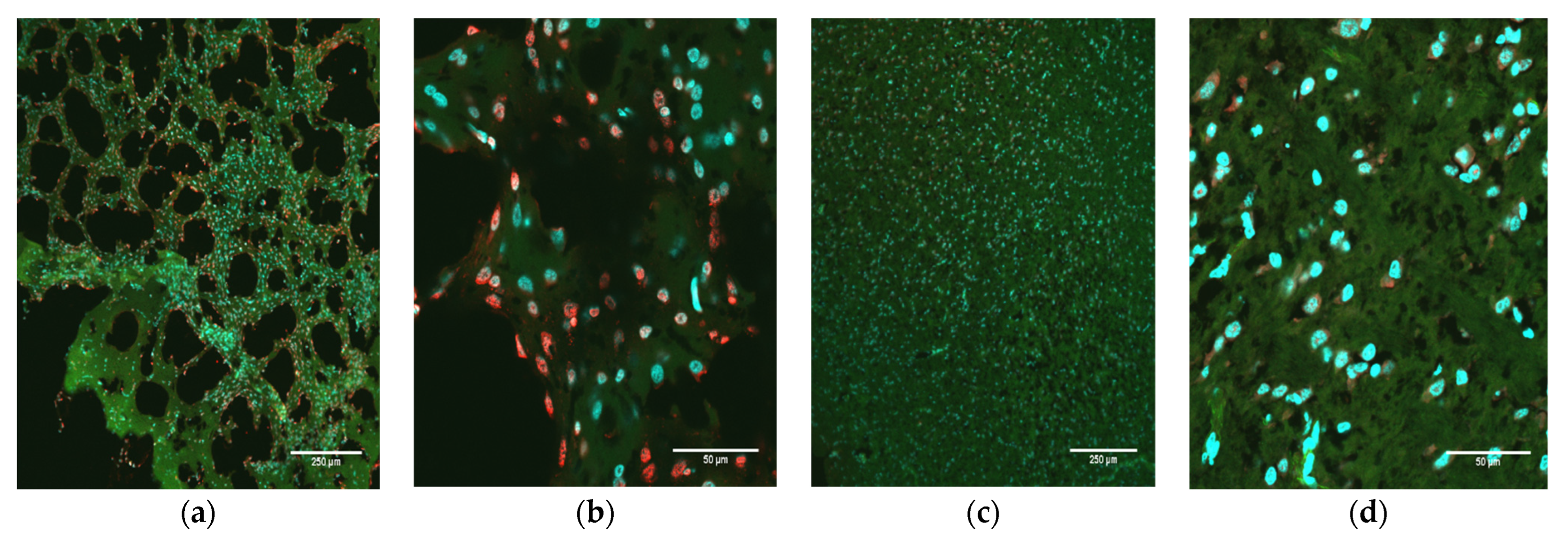 Pathogens 12 00733 g005